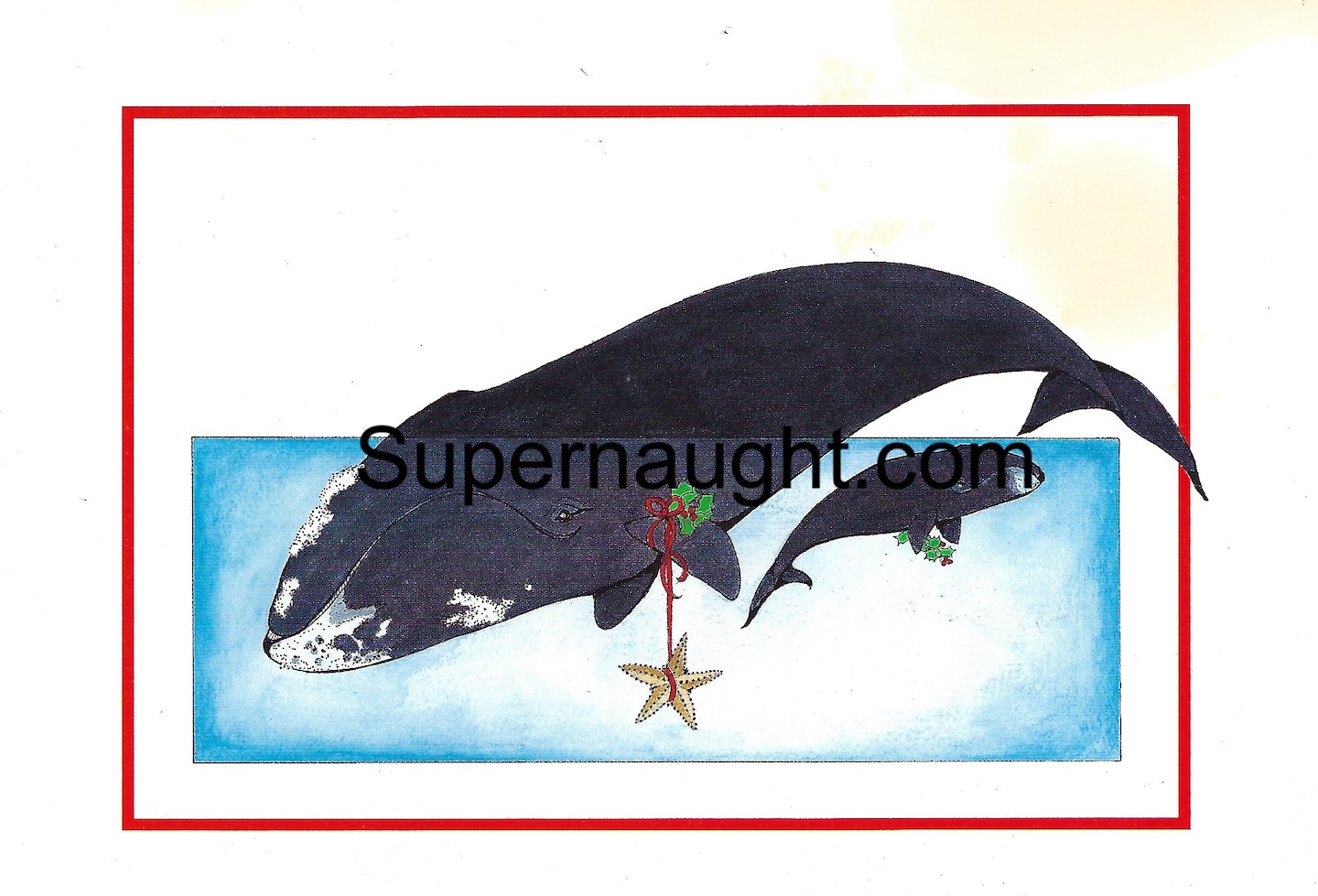 Joel Rifkin Card and Envelope Set Both Signed image 4