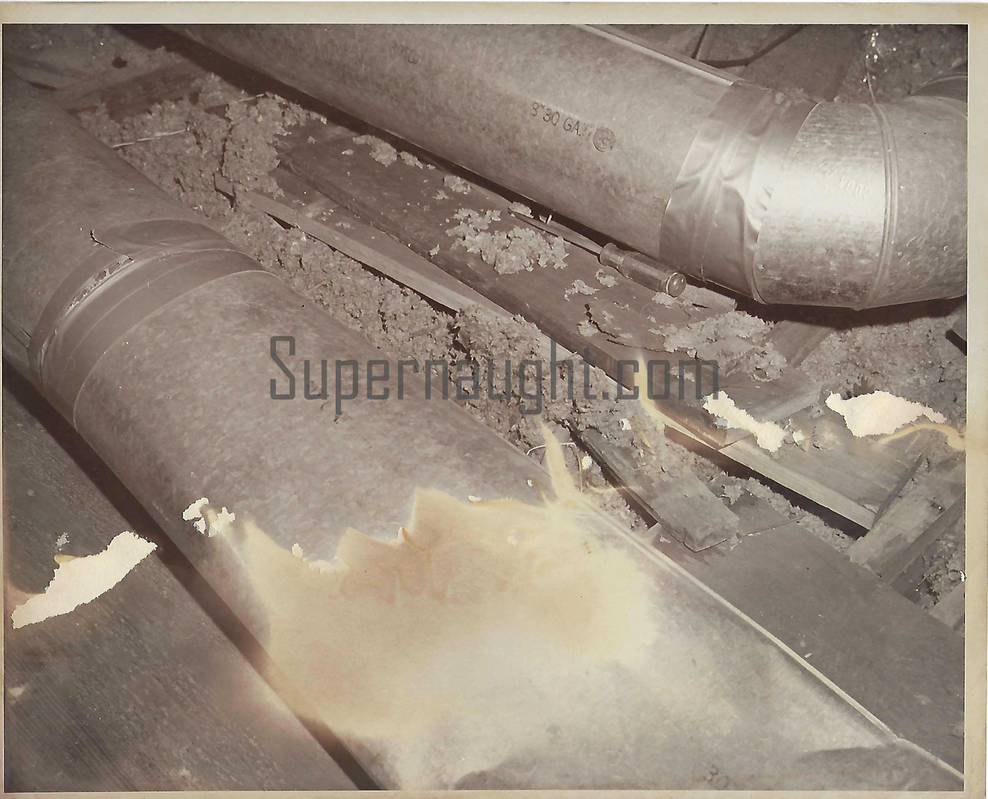 John Wayne Gacy Authentic Crime Scene Photograph