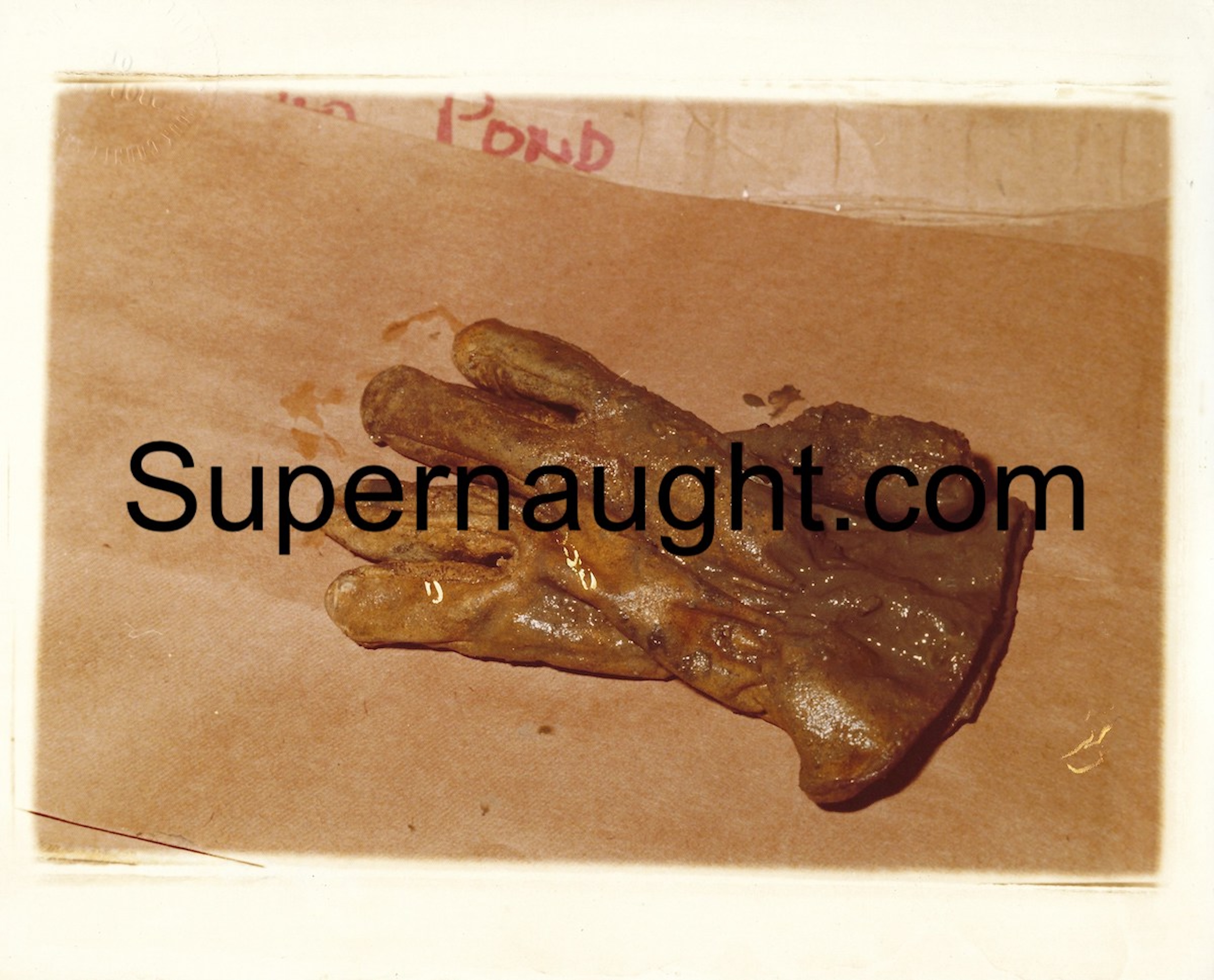 John Wayne Gacy Muddy Glove Crawlspace Photo