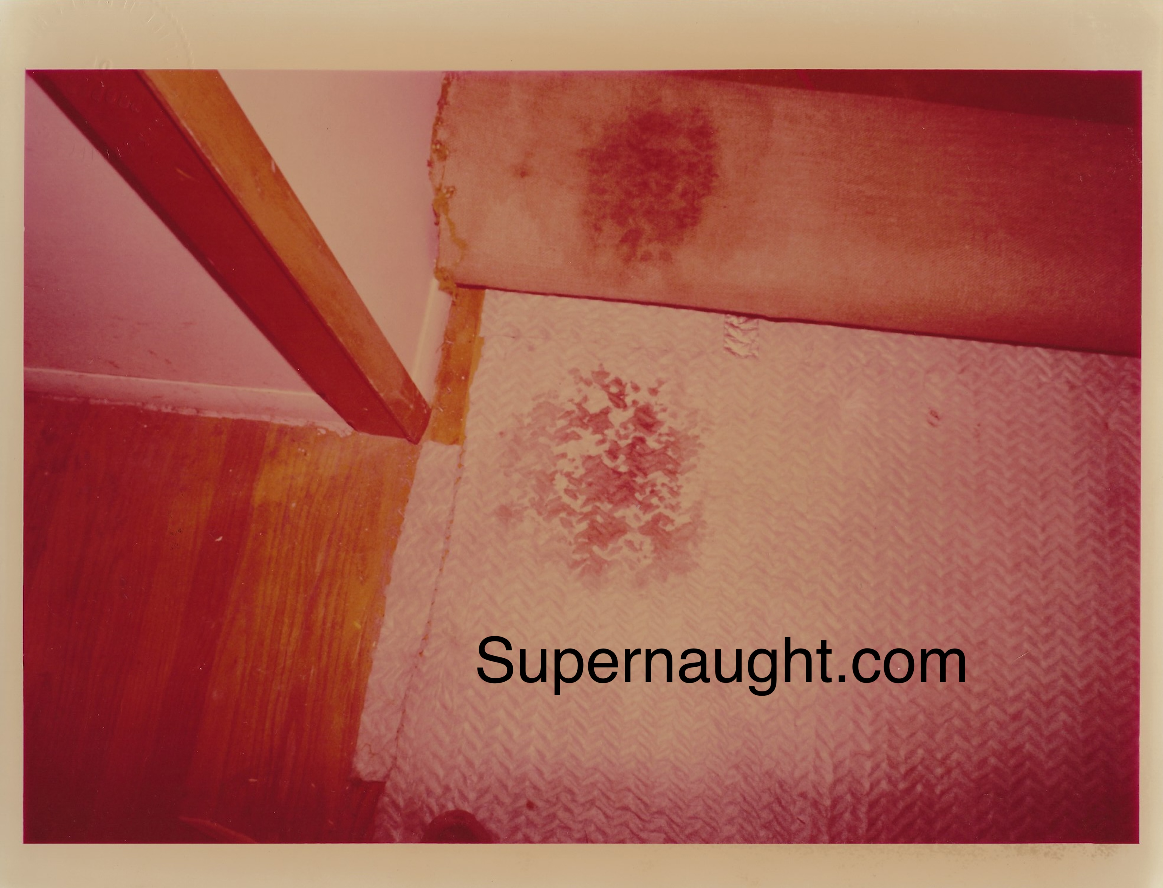 John Wayne Gacy Original Crime Scene Photo