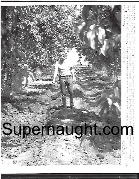 Juan Corona 1971 Shallow Grave Peach Orchard Press Photo
