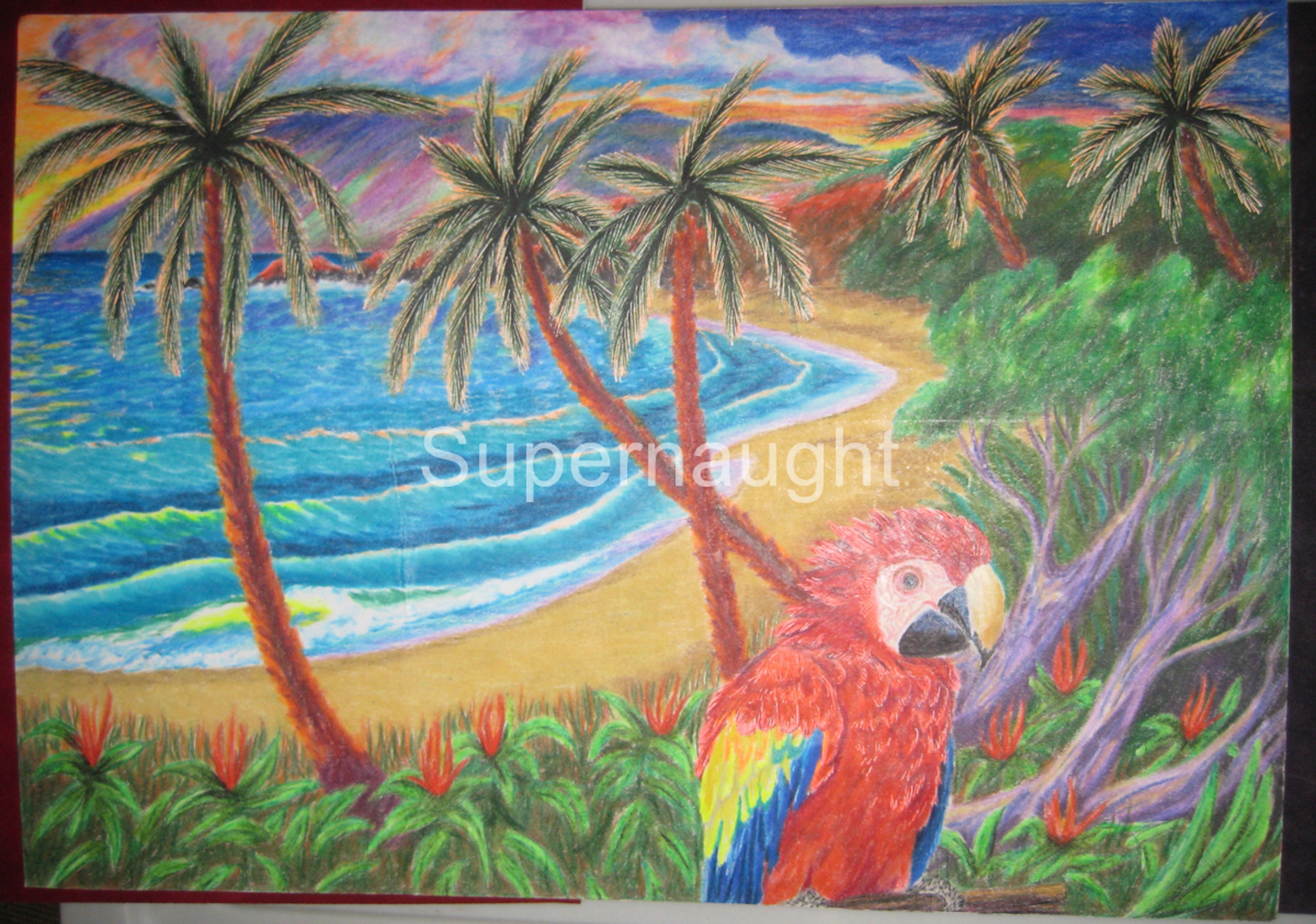 Keith Jesperson Tropical Parrott Artwork Signed