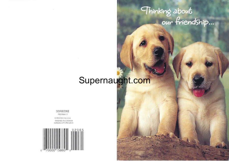 Marc Sappington Birthday Card Envelope Set Both Signed image 4