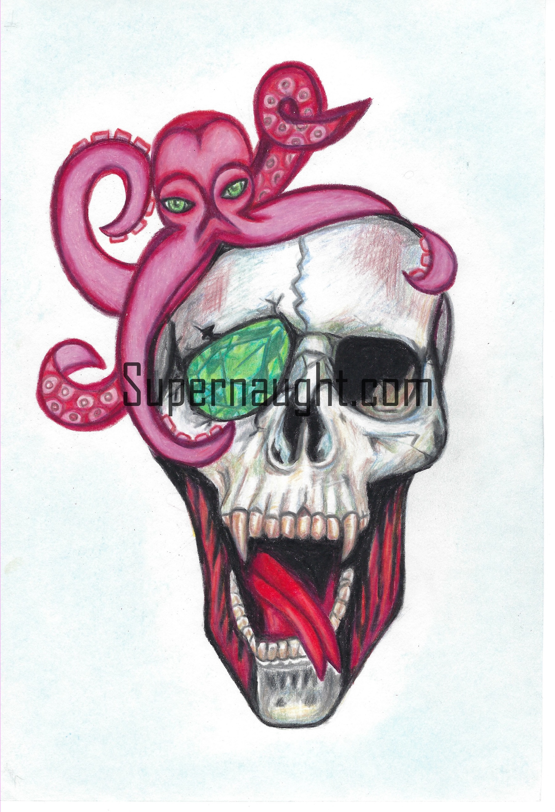 Nancy Bradshaw Skull Octopus Artwork