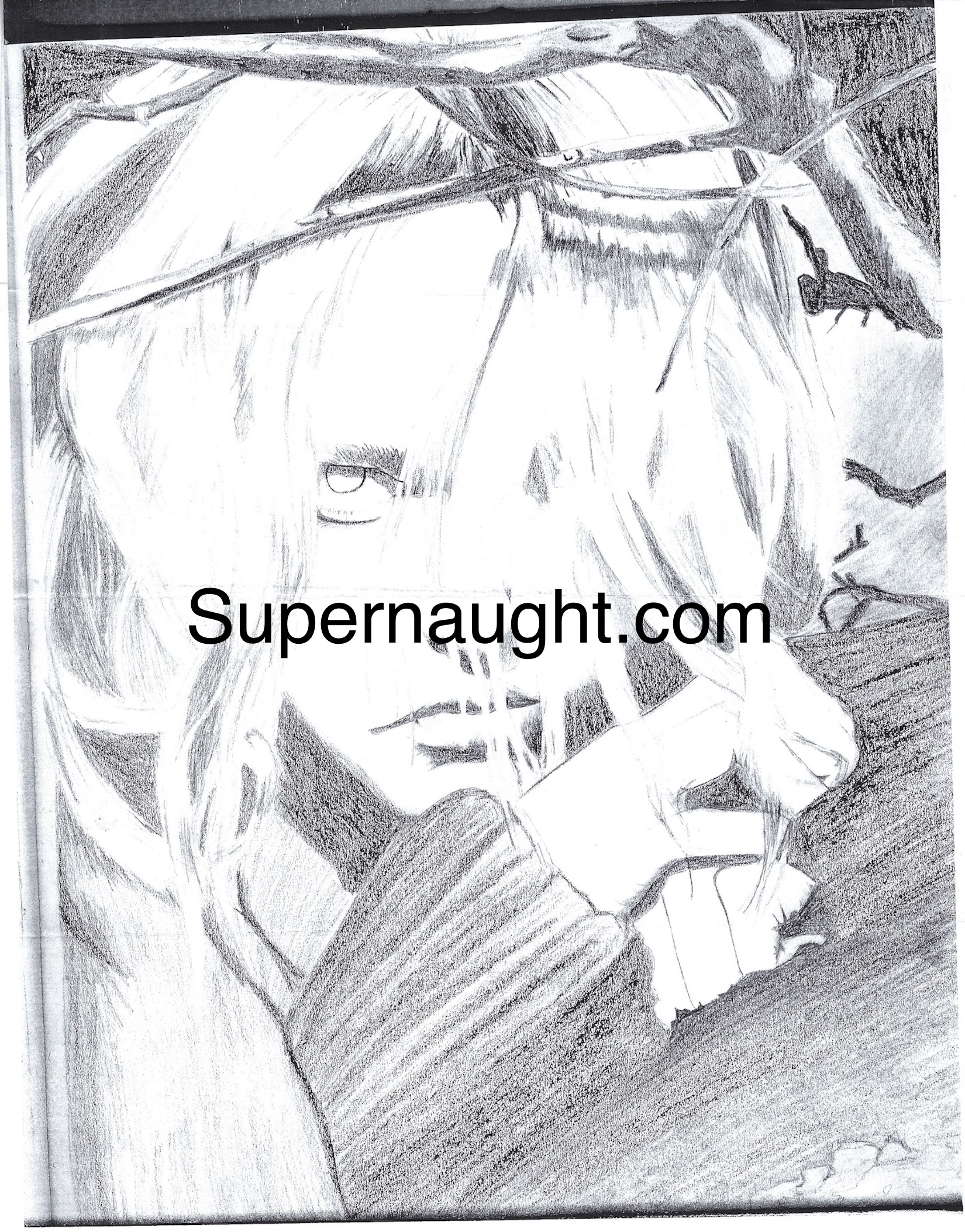 Natasha Cornett Copies of Two Drawings