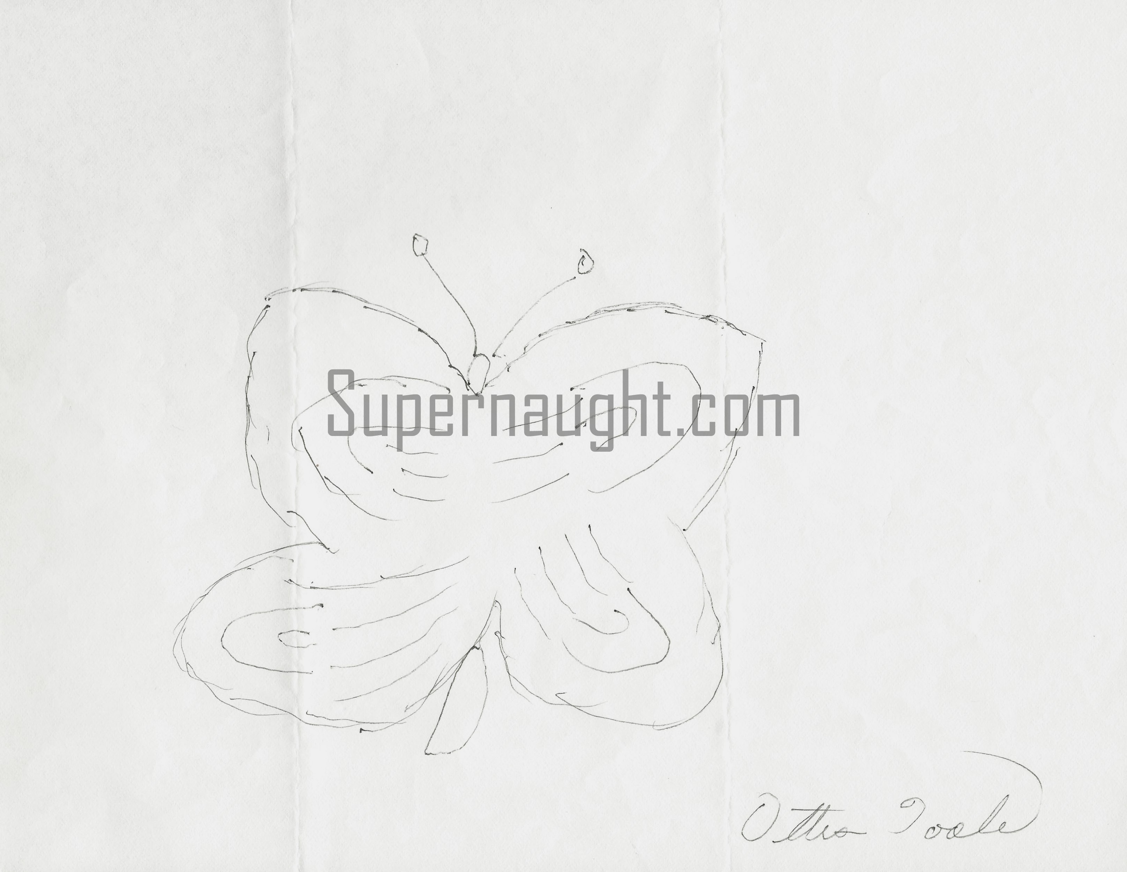 Ottis Toole Butterfly Artwork Signed