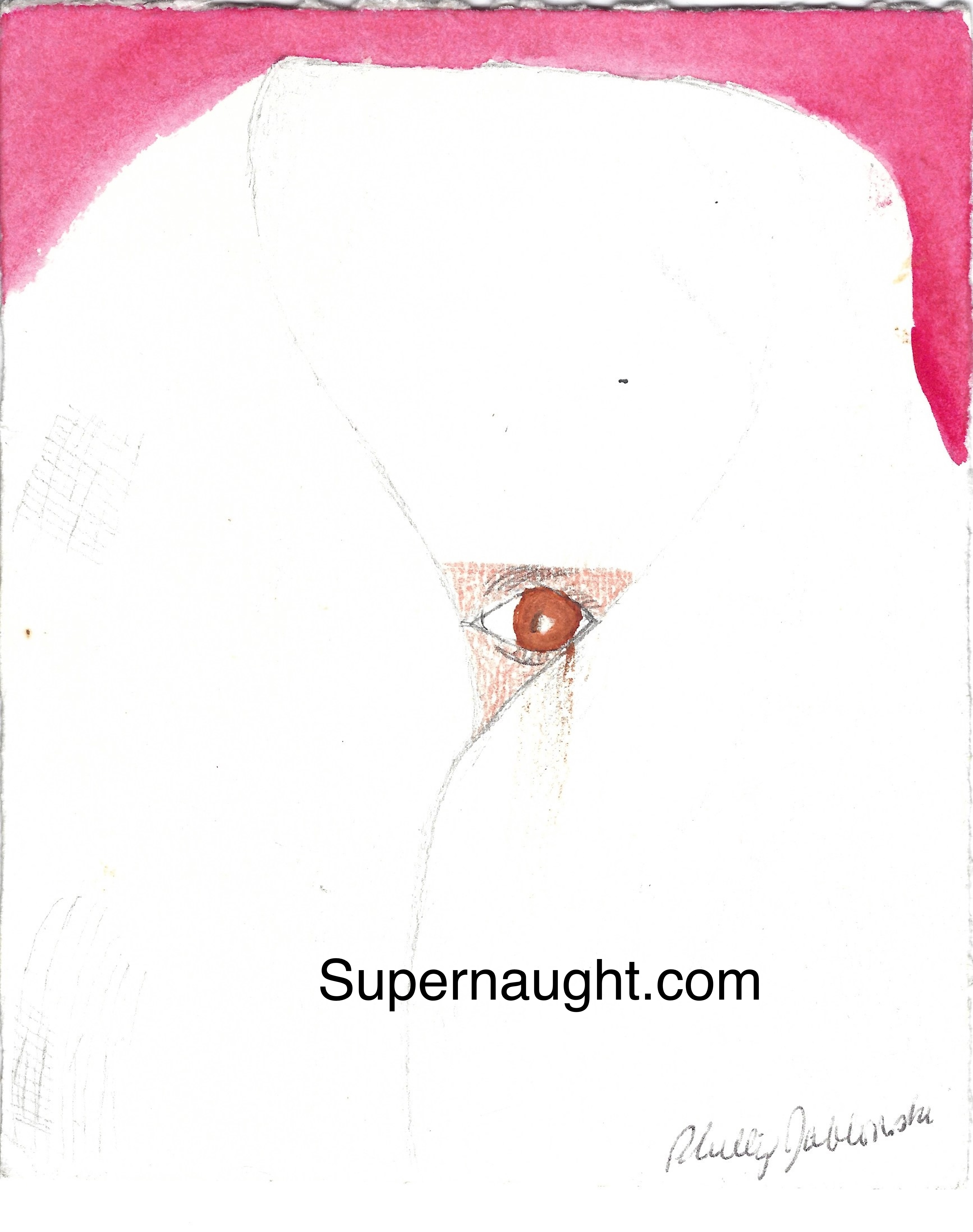 Phillip Jablonski Eye Painting Signed