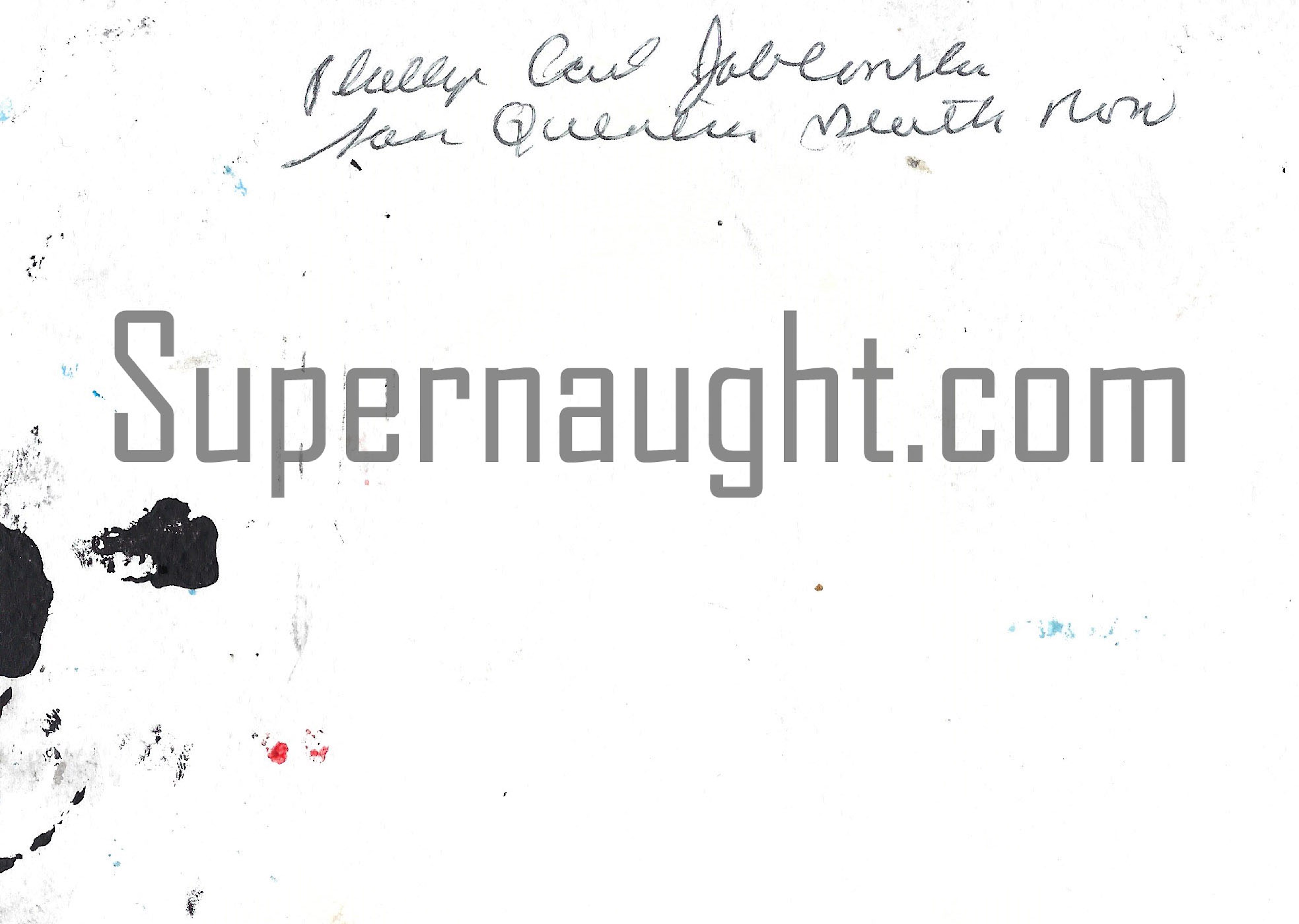 Phillip Jablonski Jodi Arias Painting Signed image 2