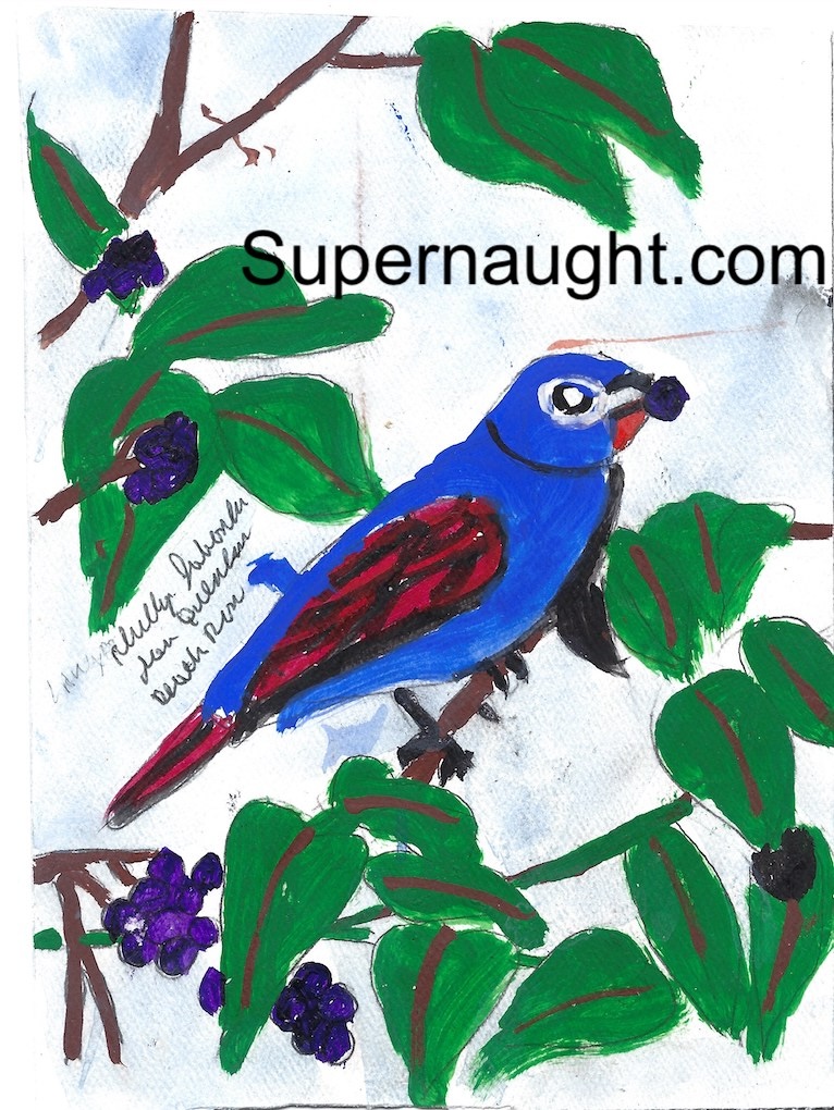 Phillip Jablonski Signed Blue Jay Painting