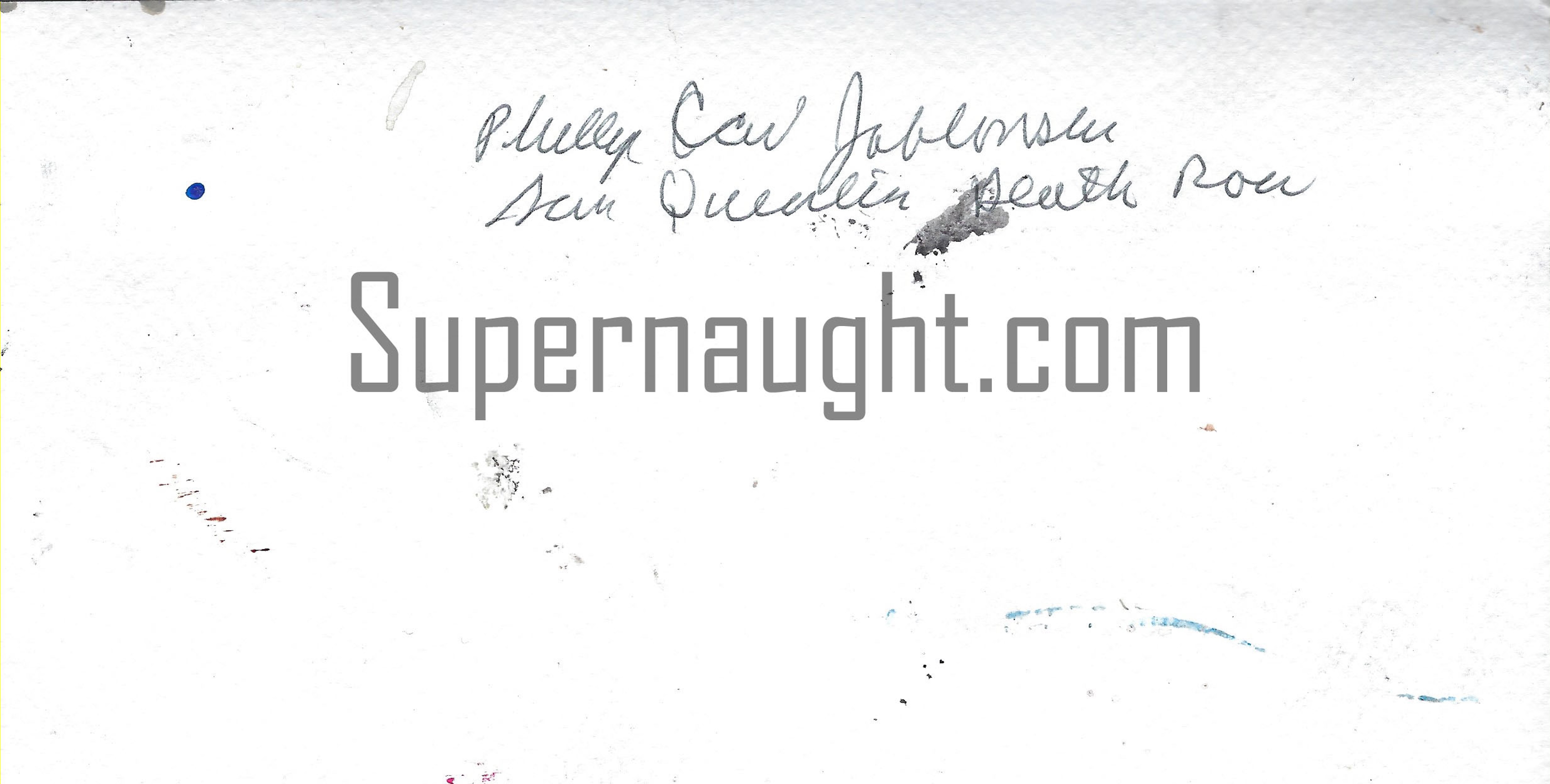 Phillip Jablonski Signed Pamela Smart Painting image 2