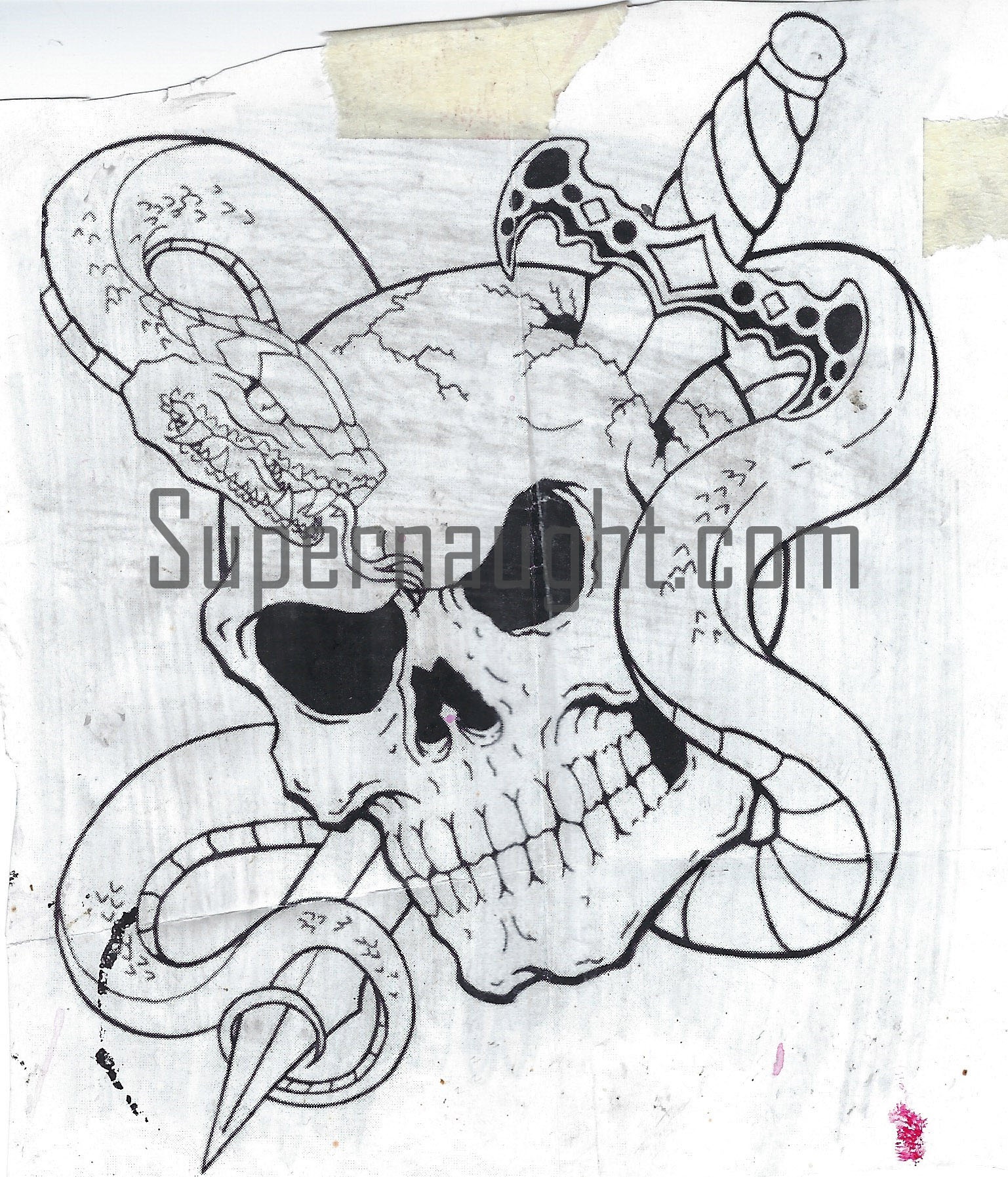 Phillip Jablonski Snake Skull and Knife