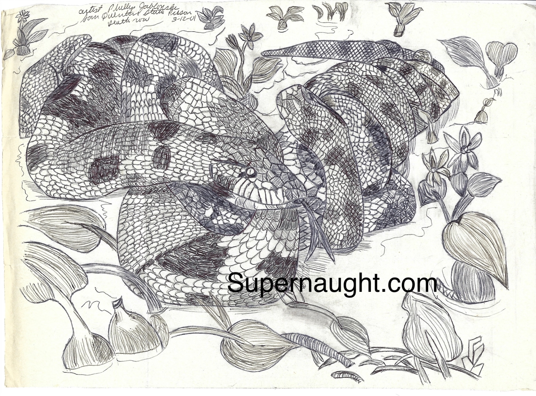 Phillip Jablonski Vintage Snake Artwork Signed
