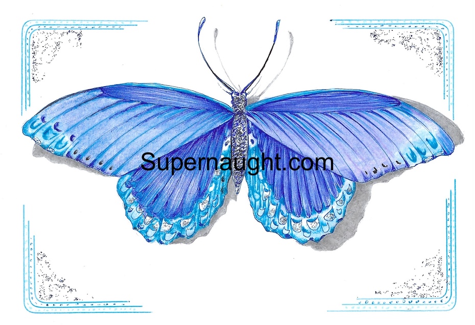 Richard Clarey Butterfly Card Signed Twice