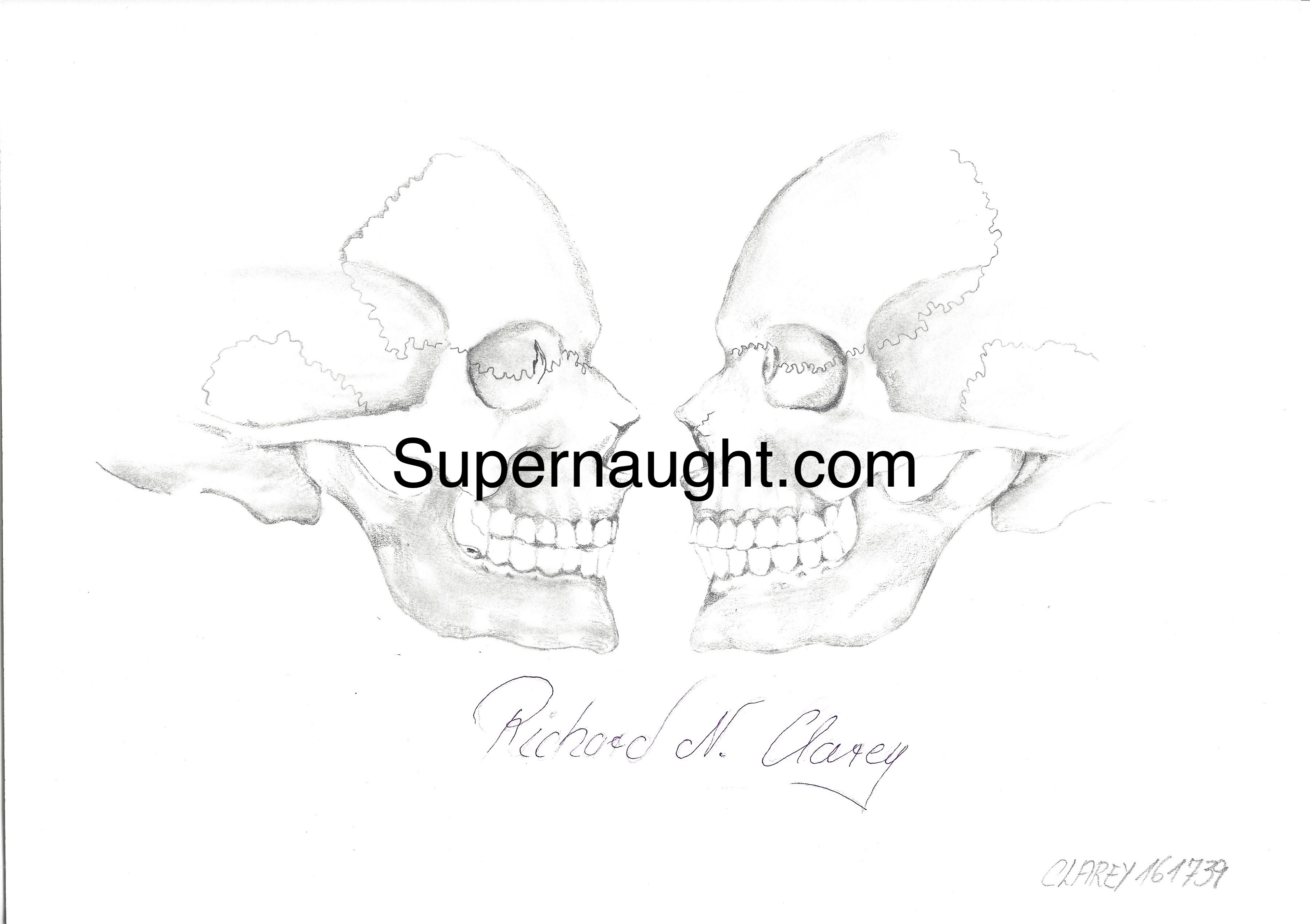 Richard Clarey Double Skull Artwork Signed
