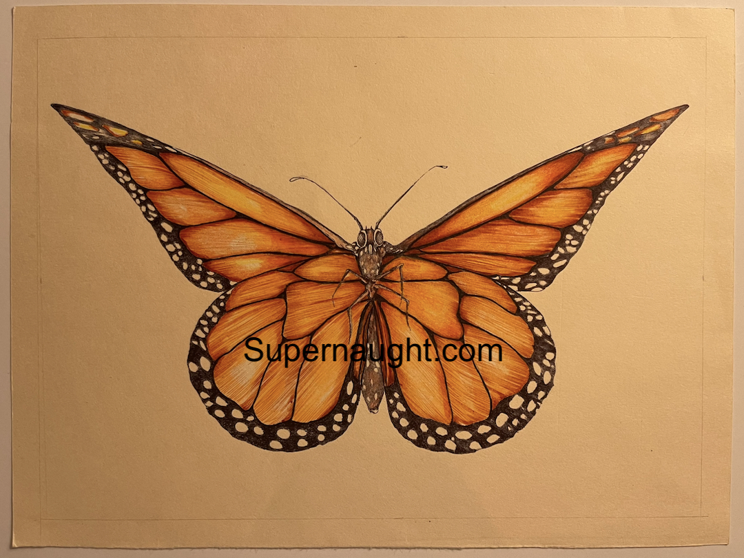 Richard Clarey Extinktion Artwork Signed