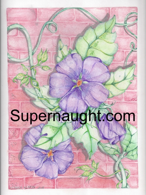 Richard Clarey Flower Wall Artwork Signed