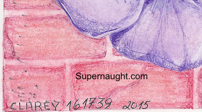 Richard Clarey Flower Wall Artwork Signed image 2