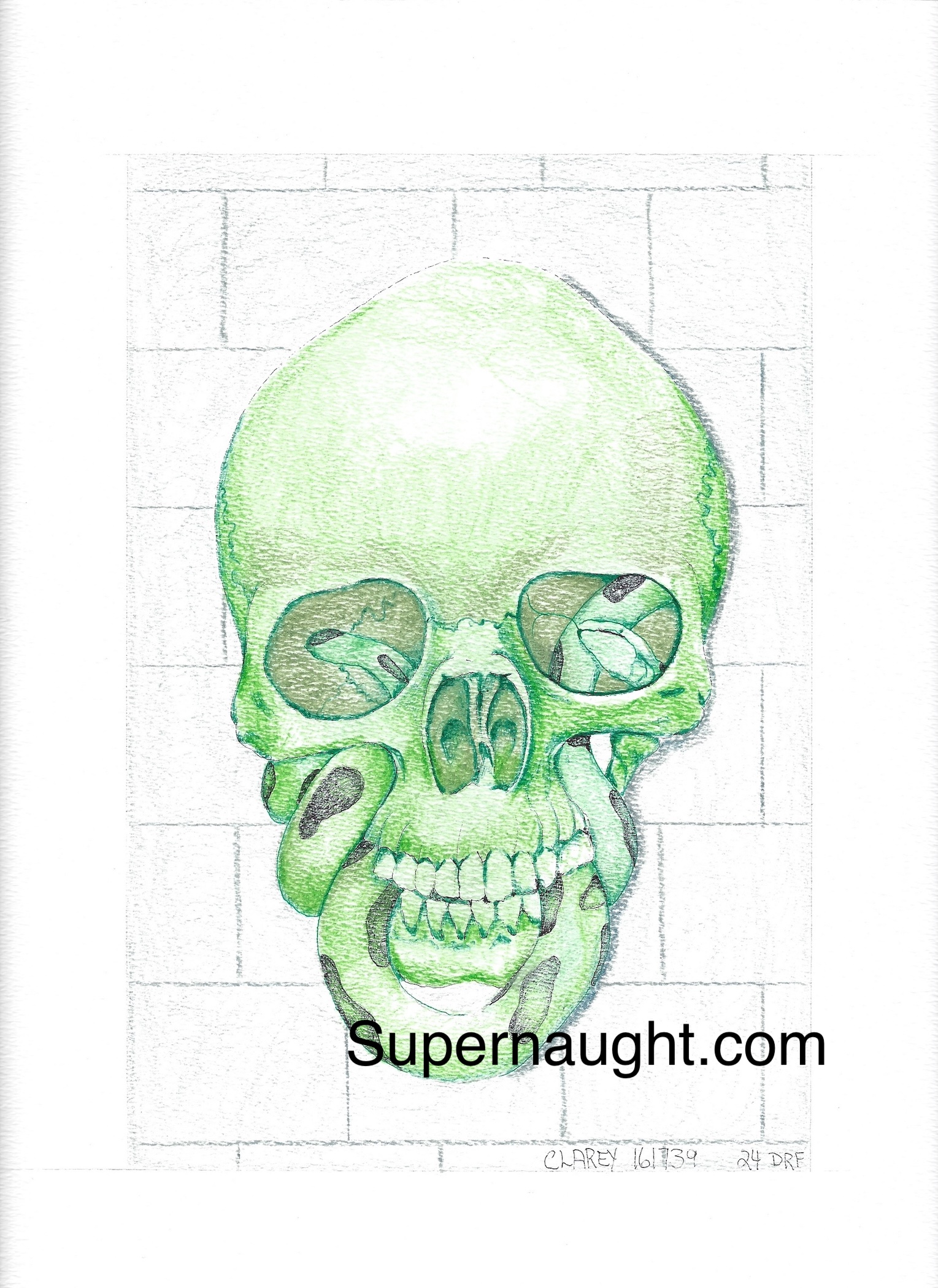 Richard Clarey Green Skull Artwork Signed