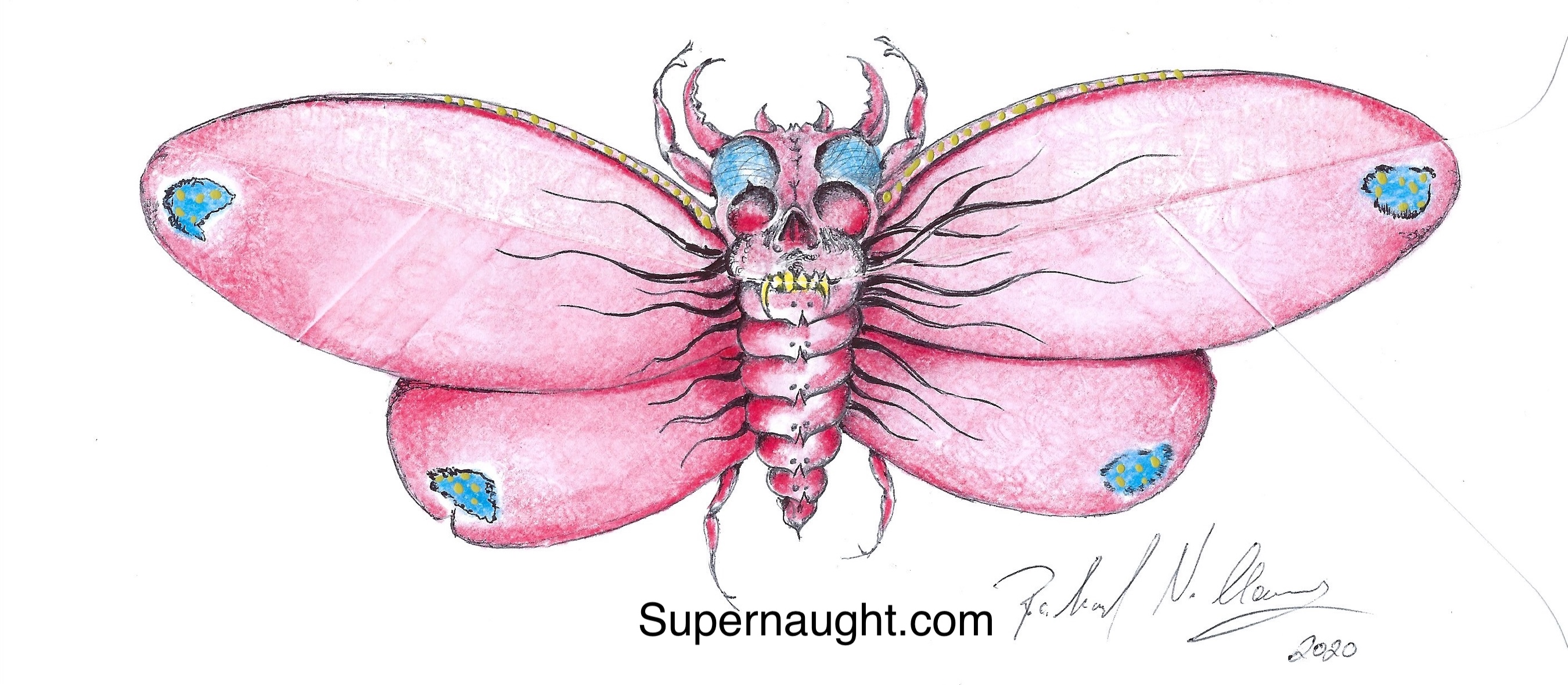 Richard Clarey Insect Artwork Signed Twice