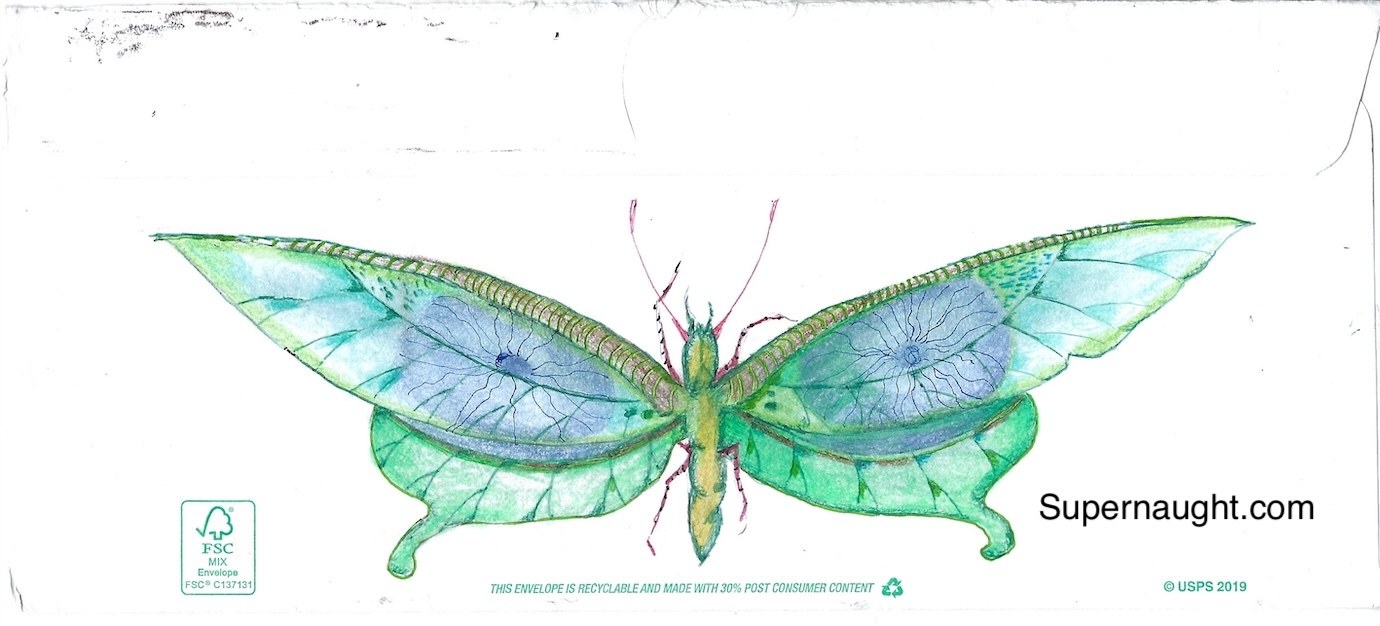Richard Clarey Insect Envelope Artwork Signed
