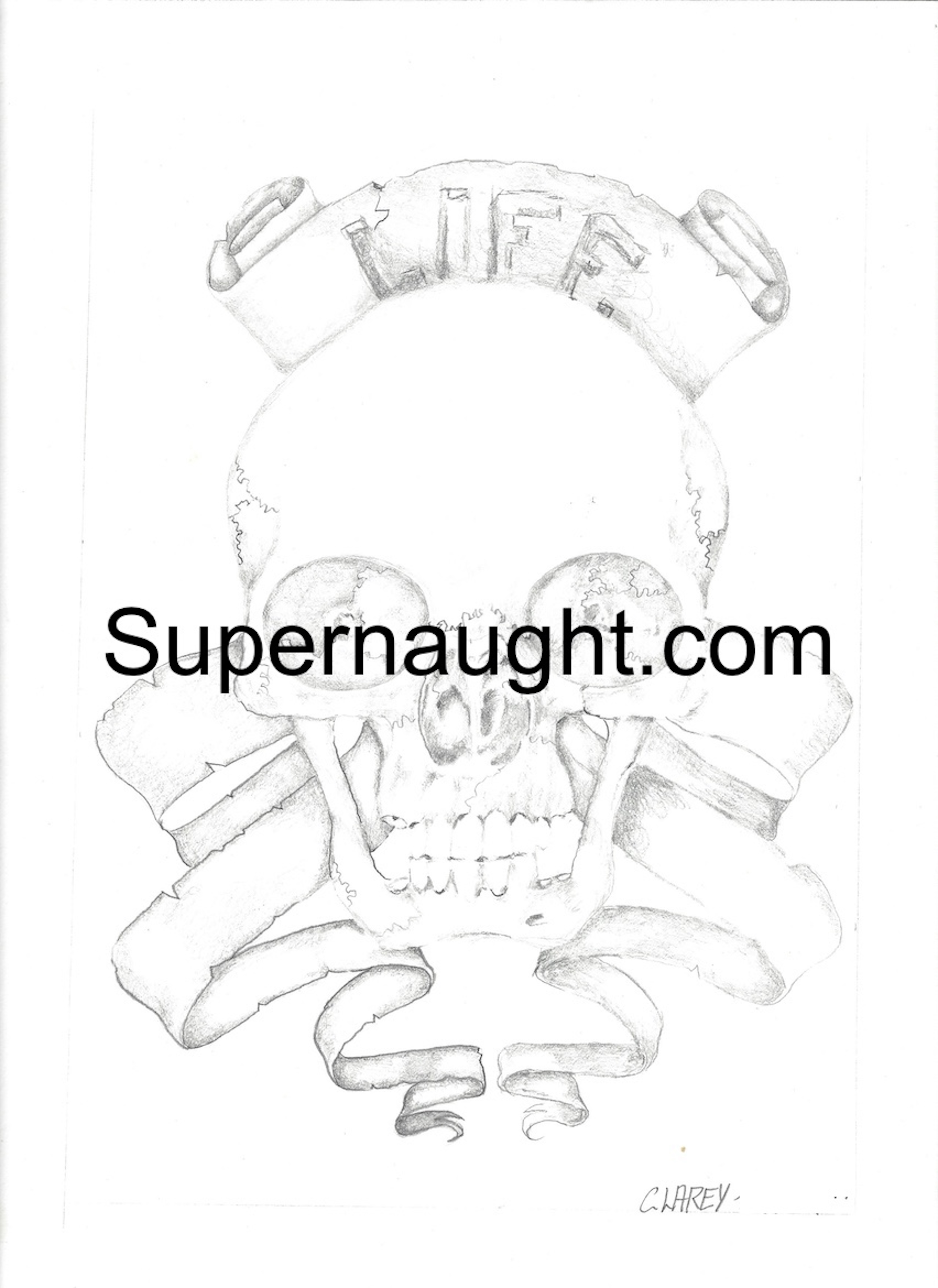 Richard Clarey Life Skull Artwork Signed