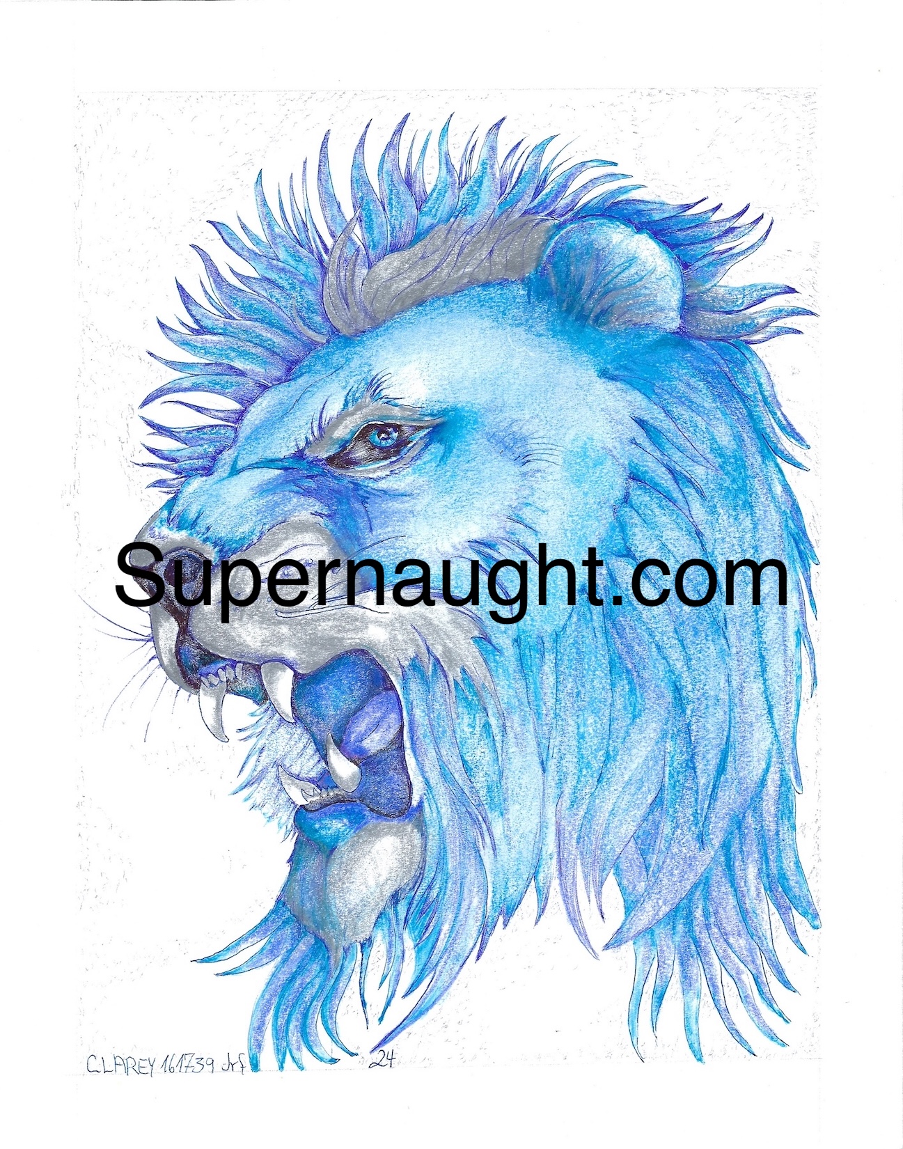 Richard Clarey Lion Artwork Signed