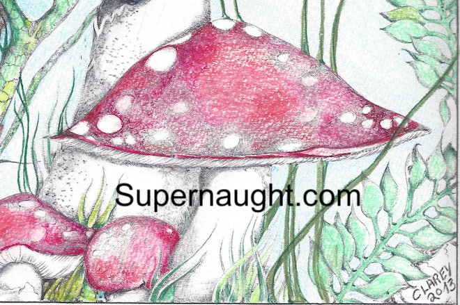 Richard Clarey Mushroom Skull Beetle Artwork image 2