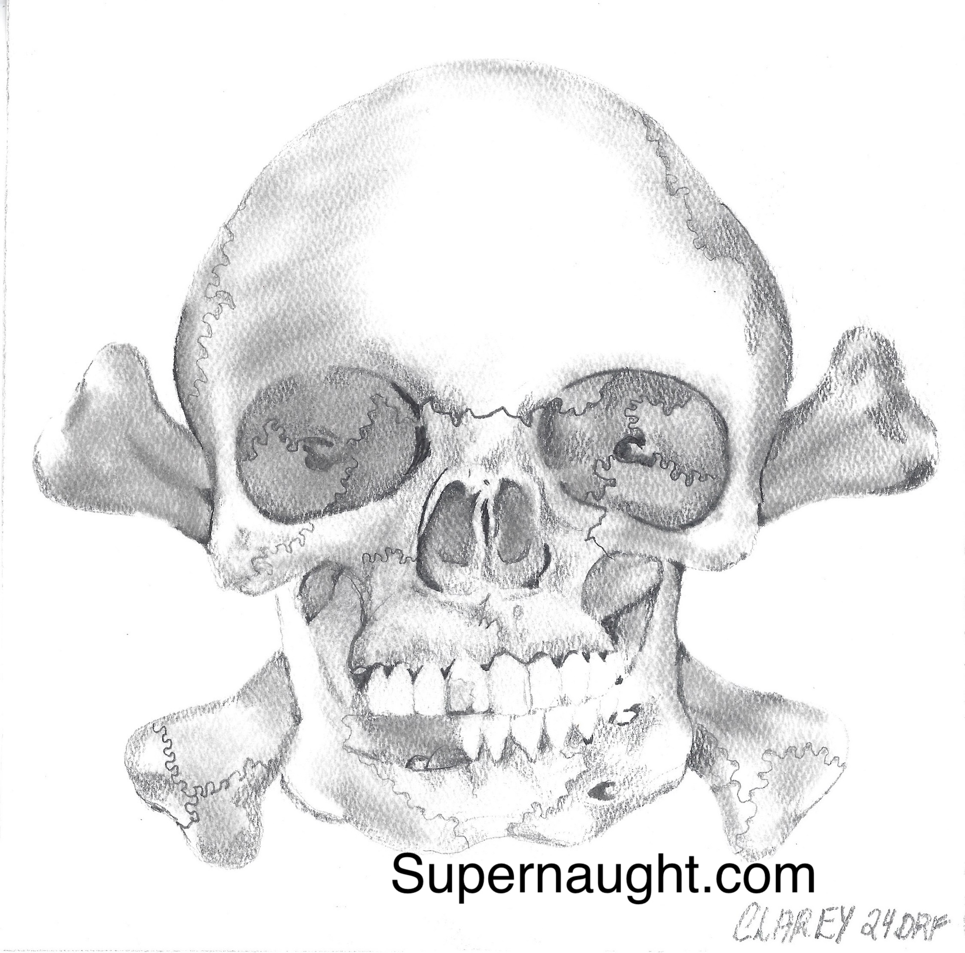 Richard Clarey Skull and Crossbones Drawing Signed