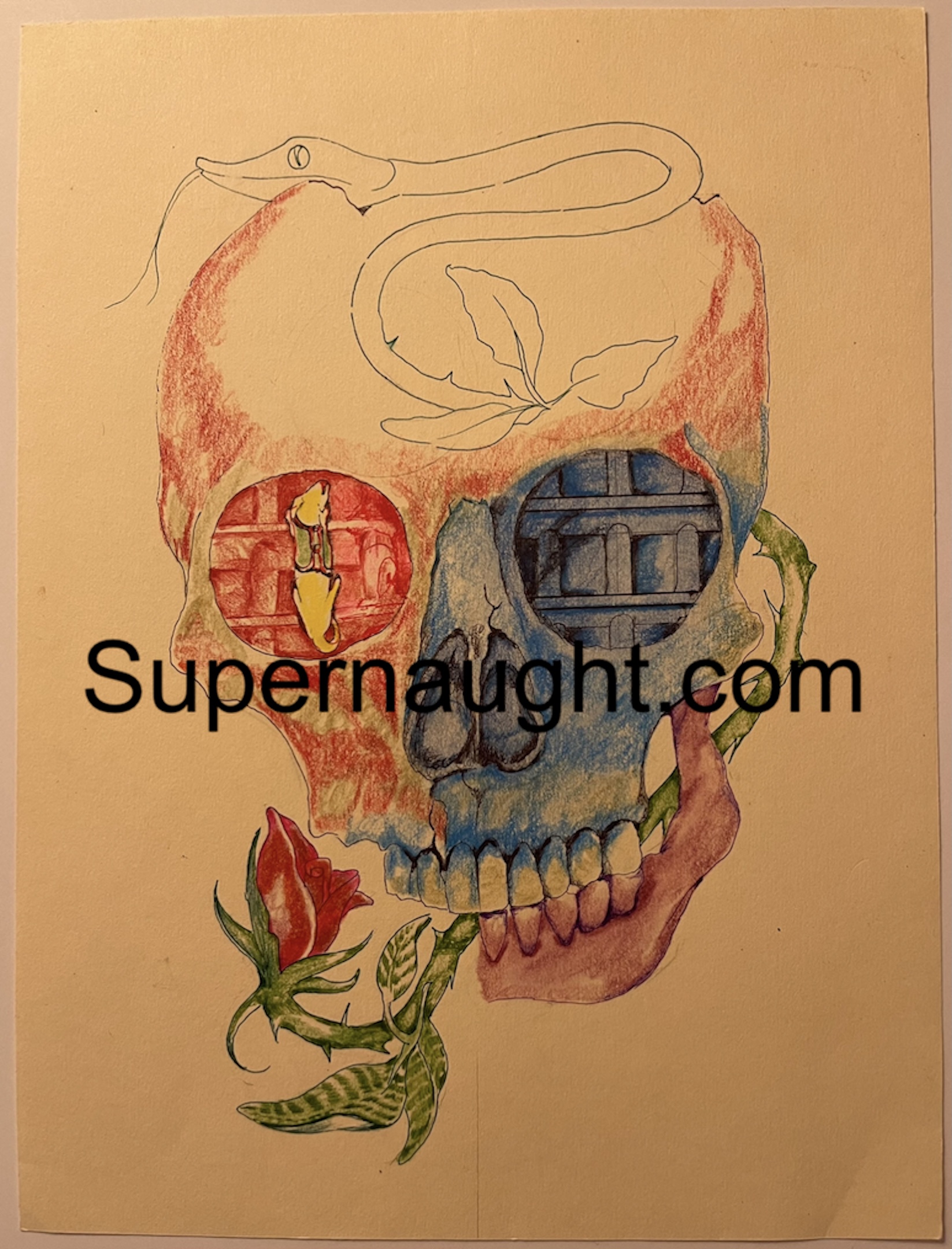 Richard Clarey Skull Art Double Sided image 2