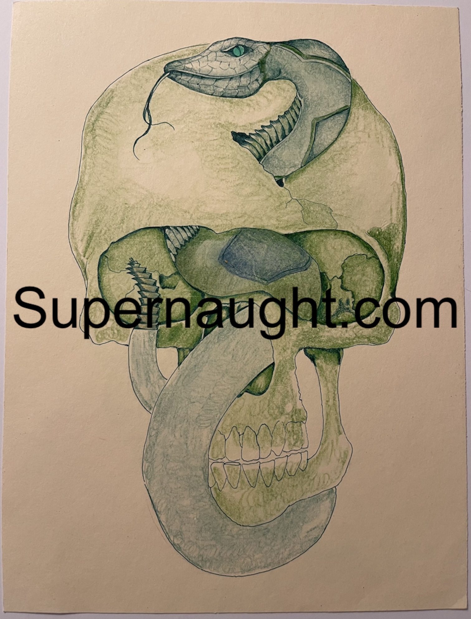 Richard Clarey Skull Art Double Sided