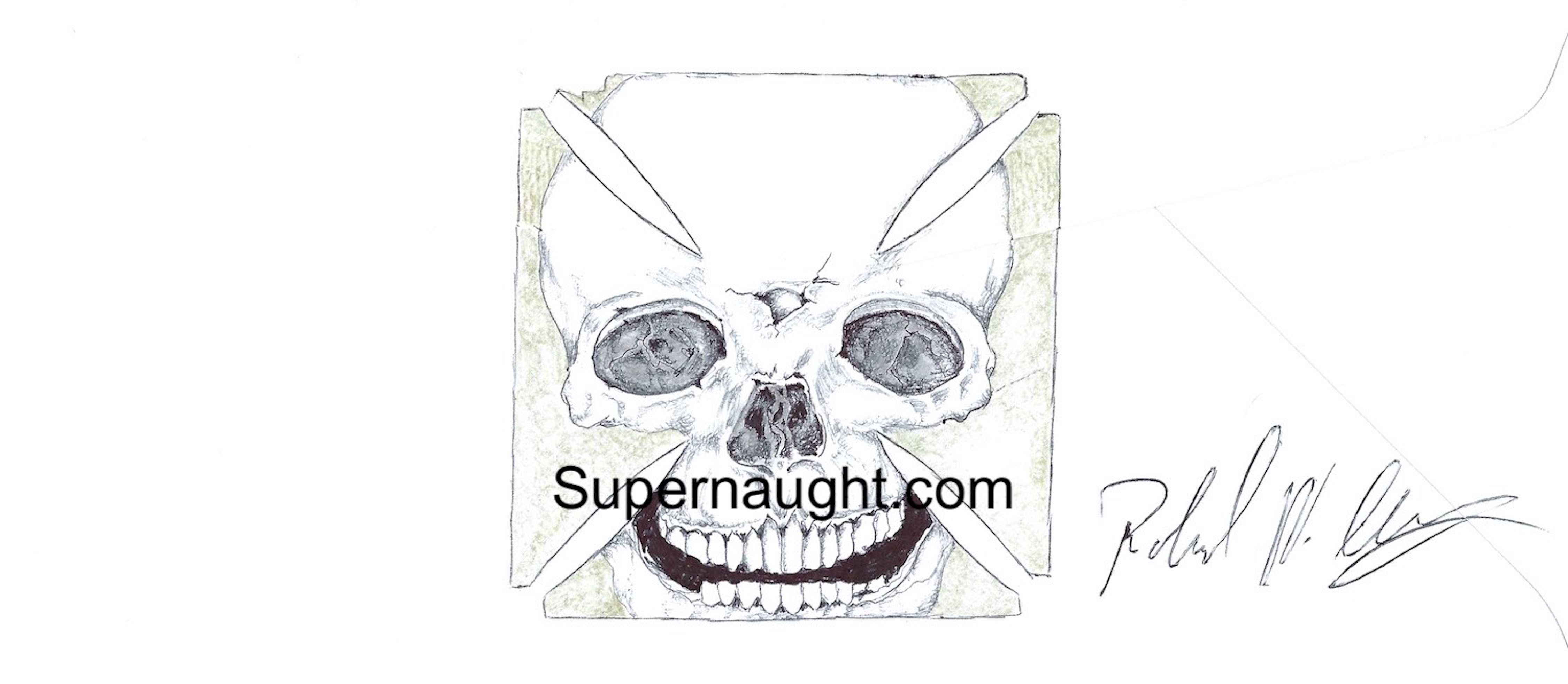 Richard Clarey Skull Artwork Signed
