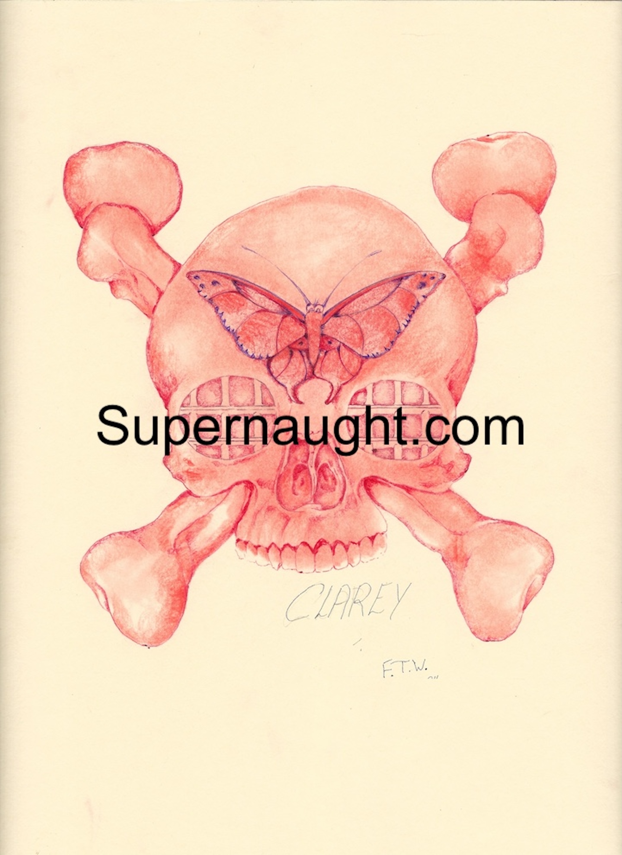 Richard Clarey Skull Bones Bars Artwork Signed