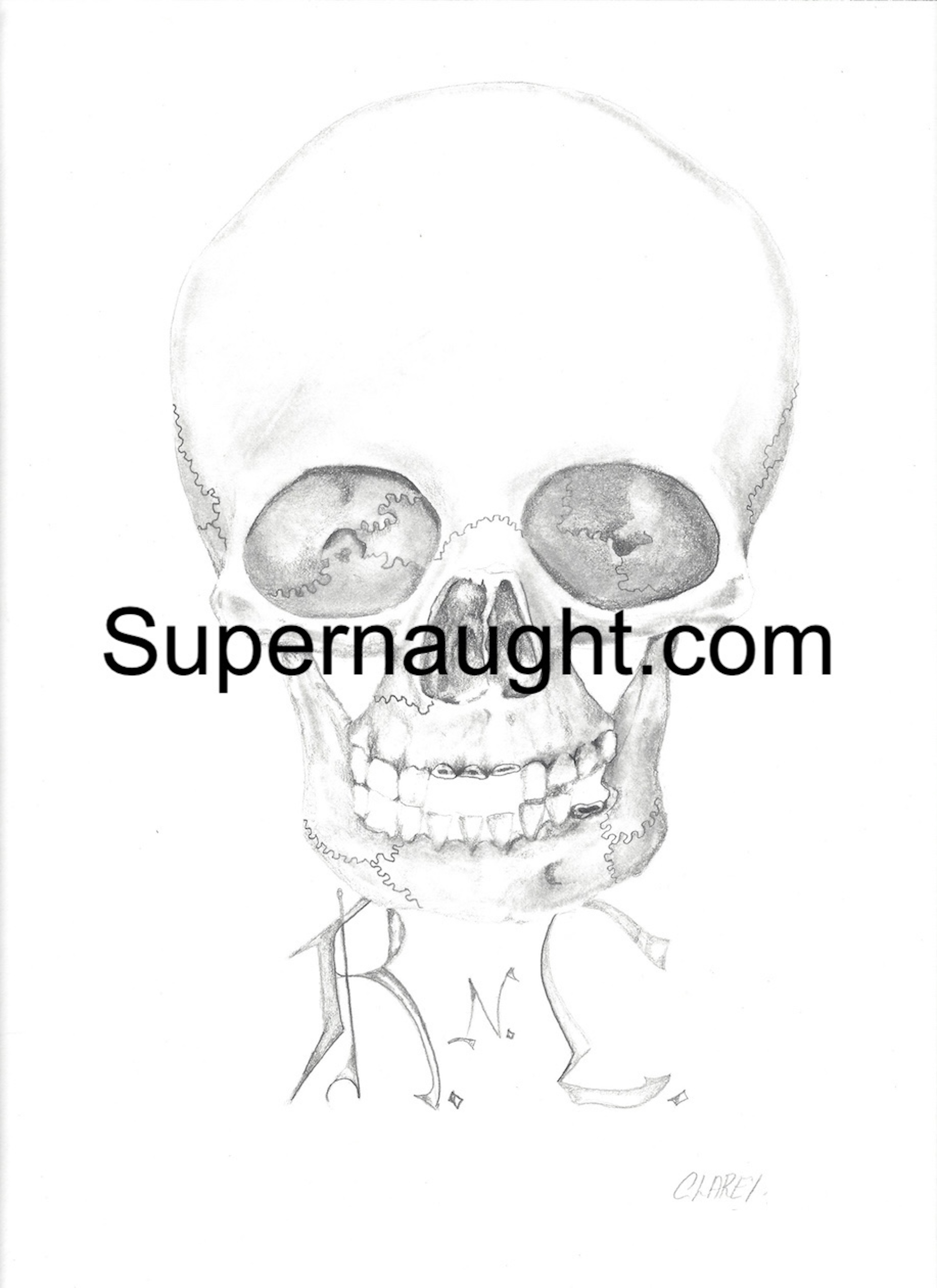 Richard Clarey Skull Initialed and Signed