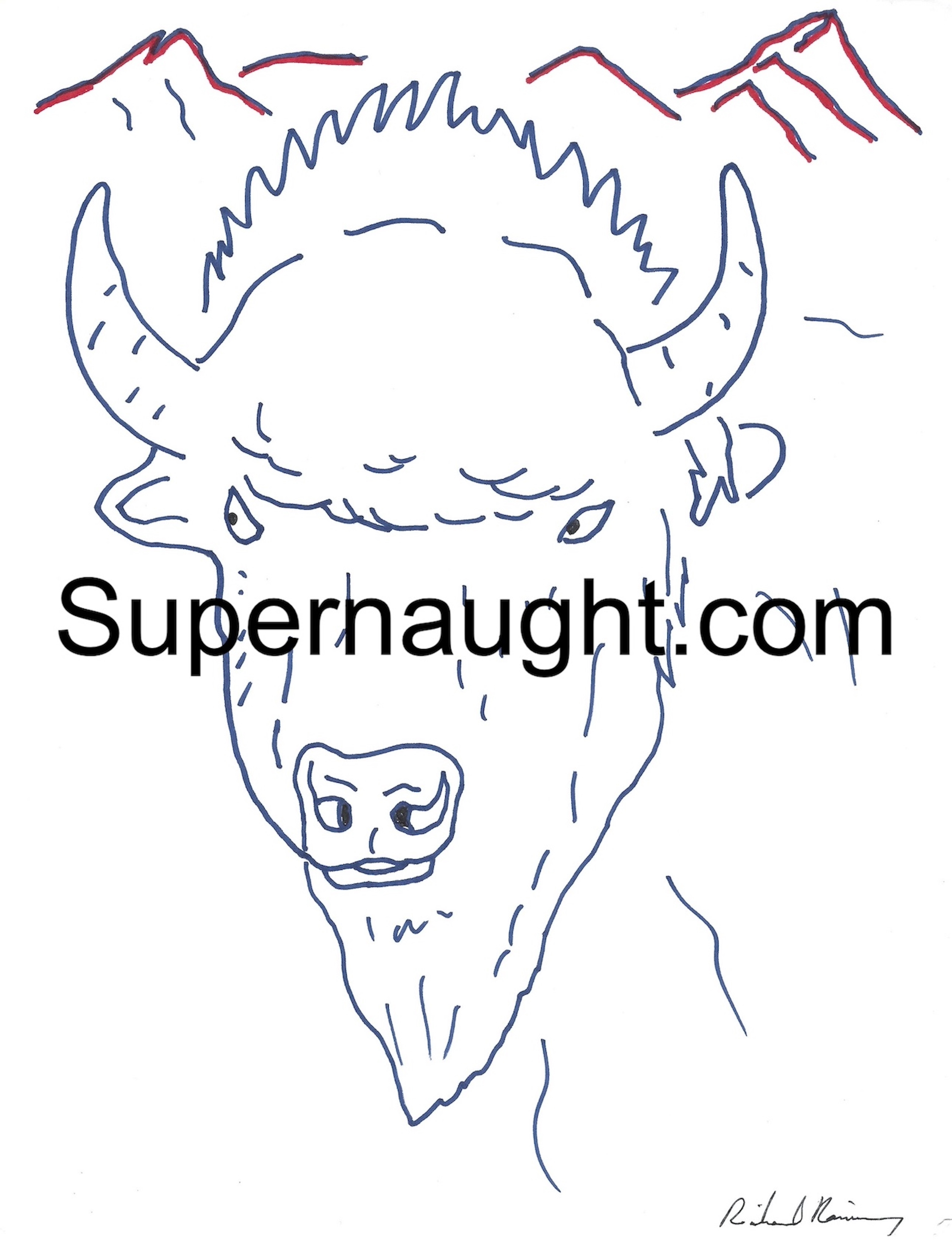 Richard Ramirez Buffalo Artwork Signed