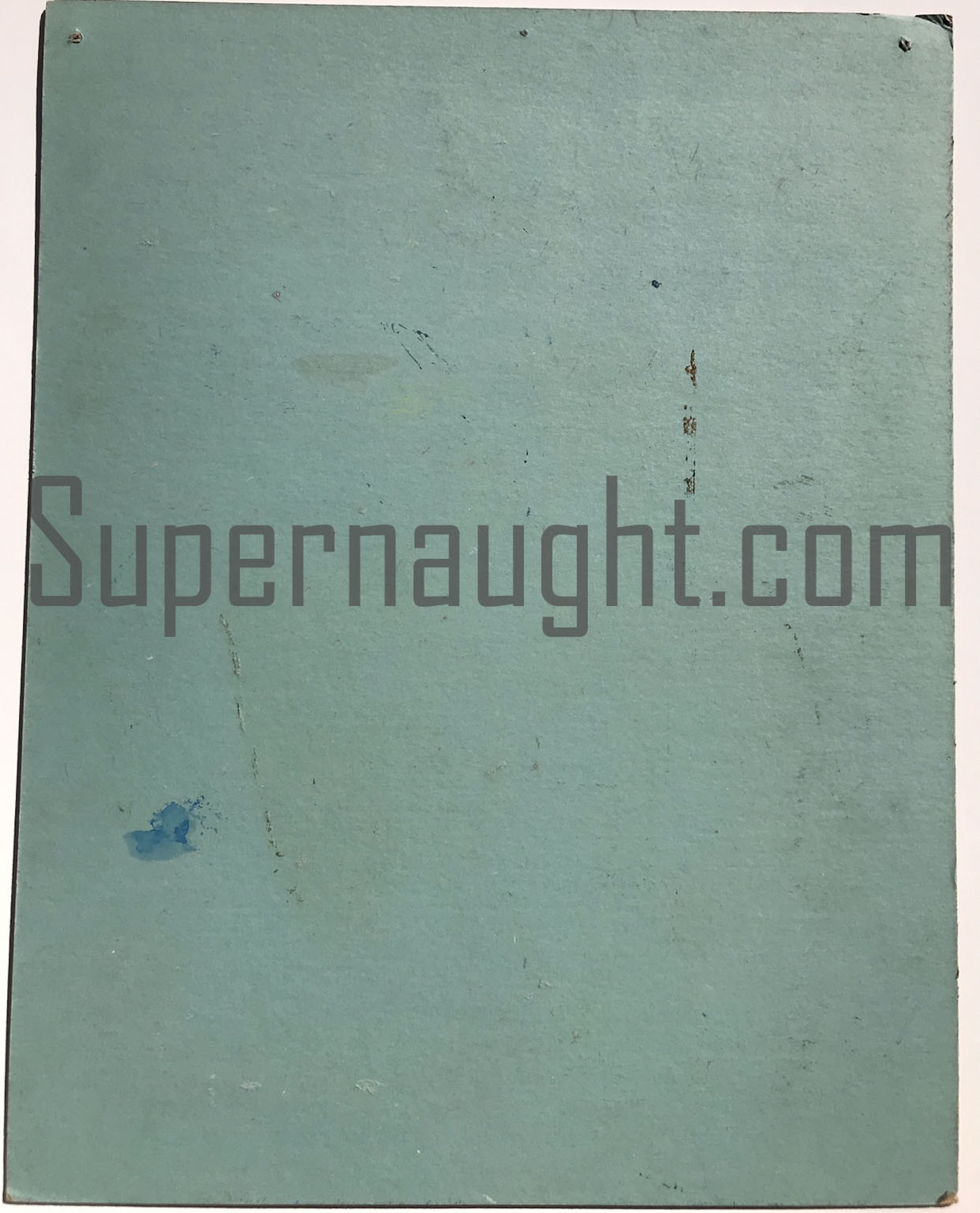 Robert Berdella Chapsaddle Painting image 2