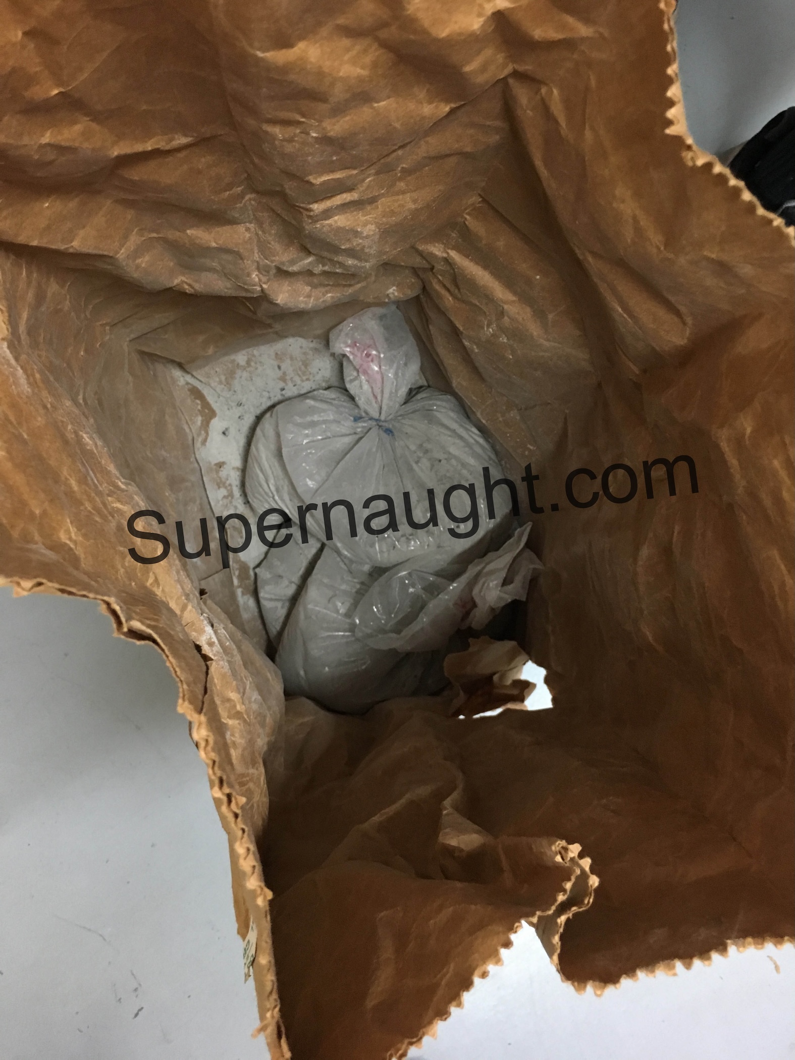 Robert Berdella Fireplace Ashes in Evidence Bag image 2