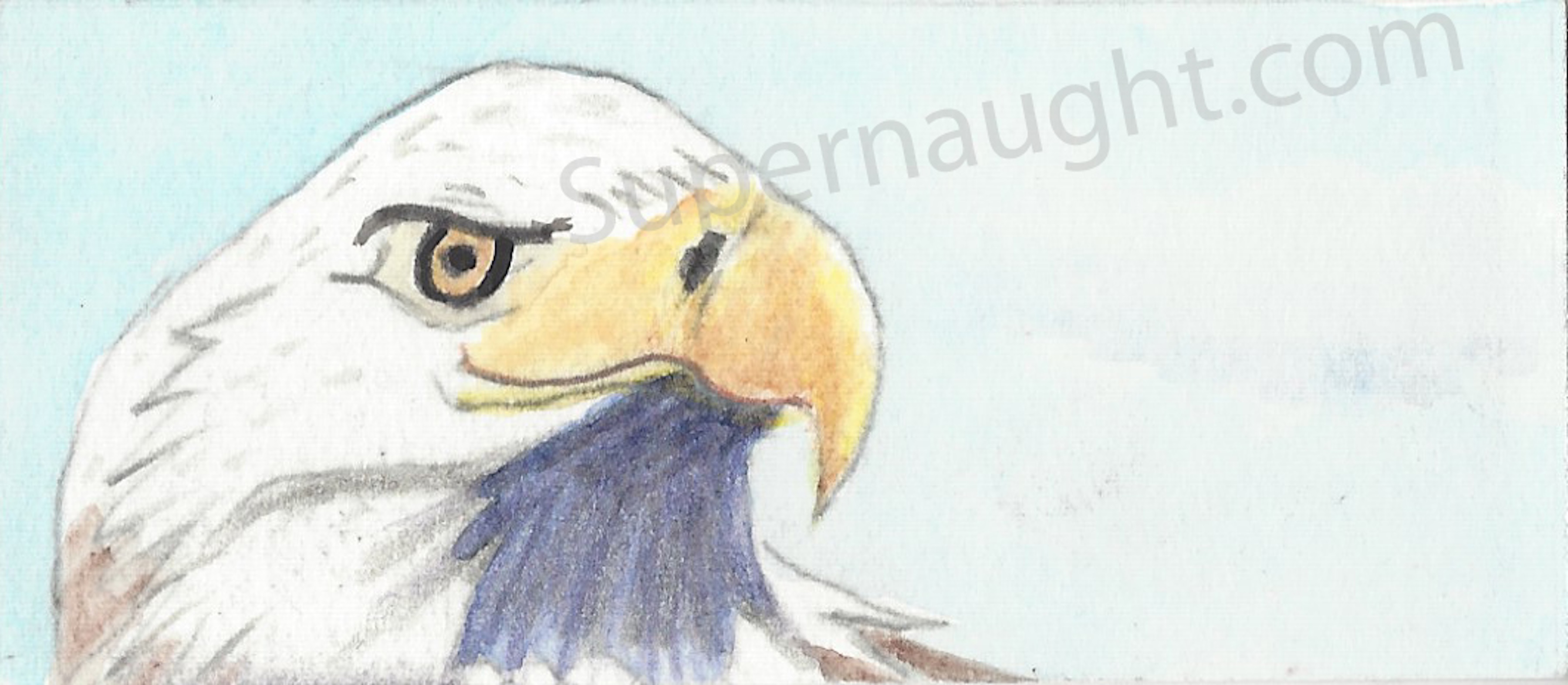 Roy Norris Bald Eagle Bookmark Painting Signed