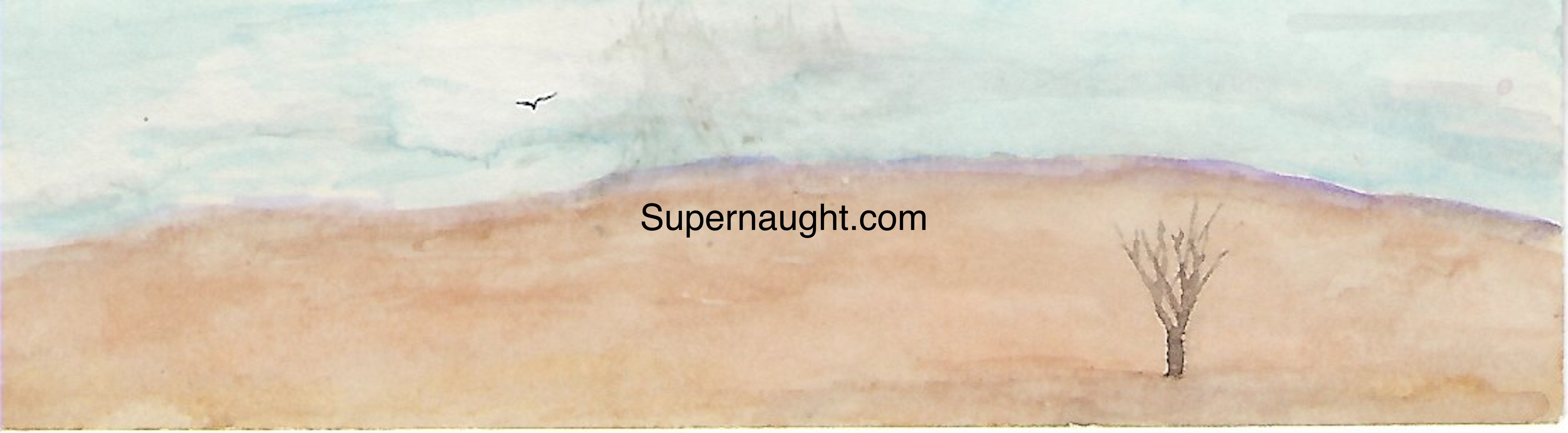Roy Norris Desert Painting Bookmark Signed