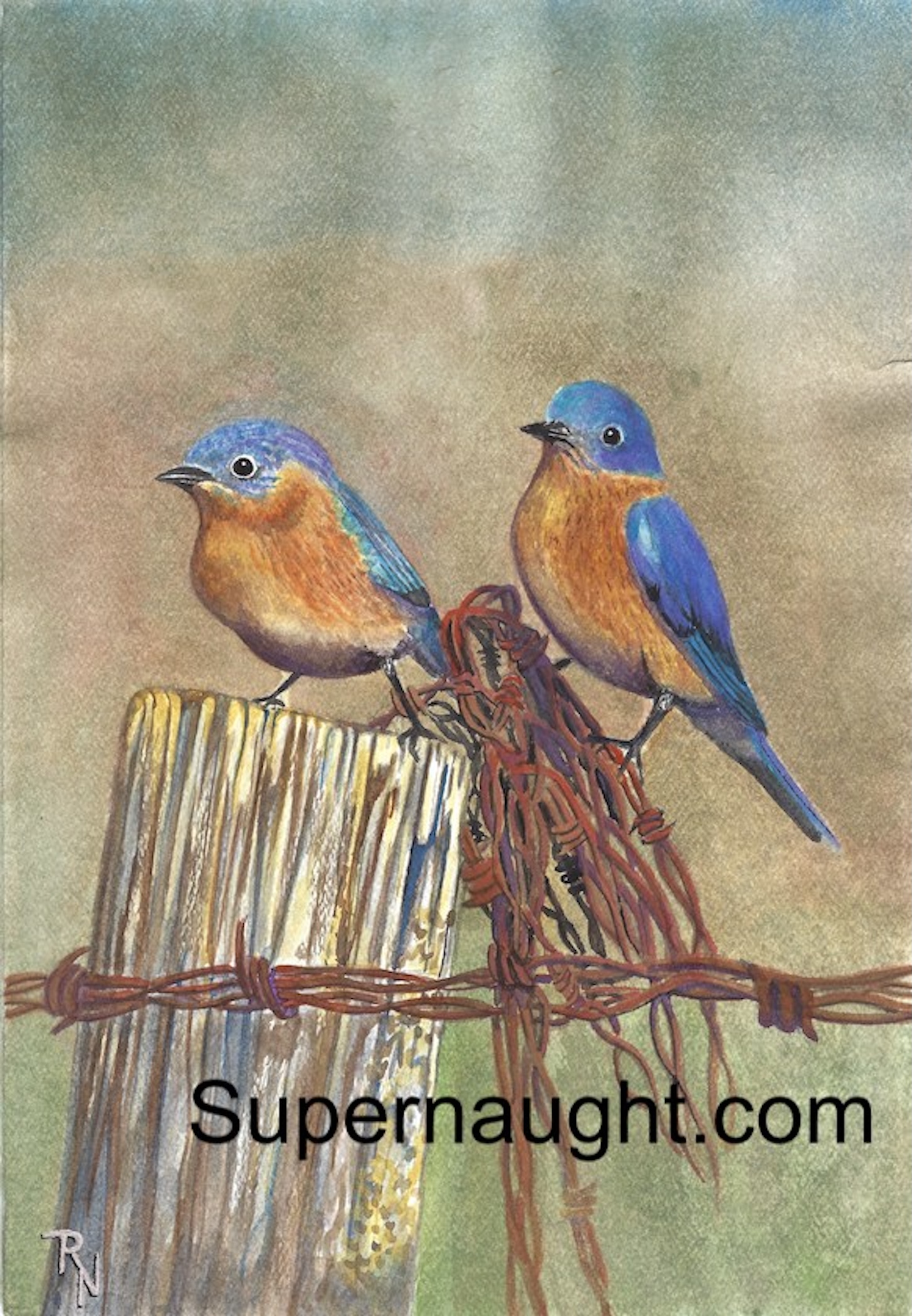 Roy Norris Eastern Bluebirds Painting
