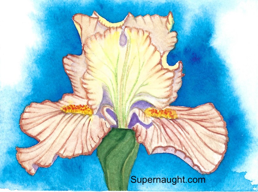 Roy Norris Mauve Iris Painting Signed