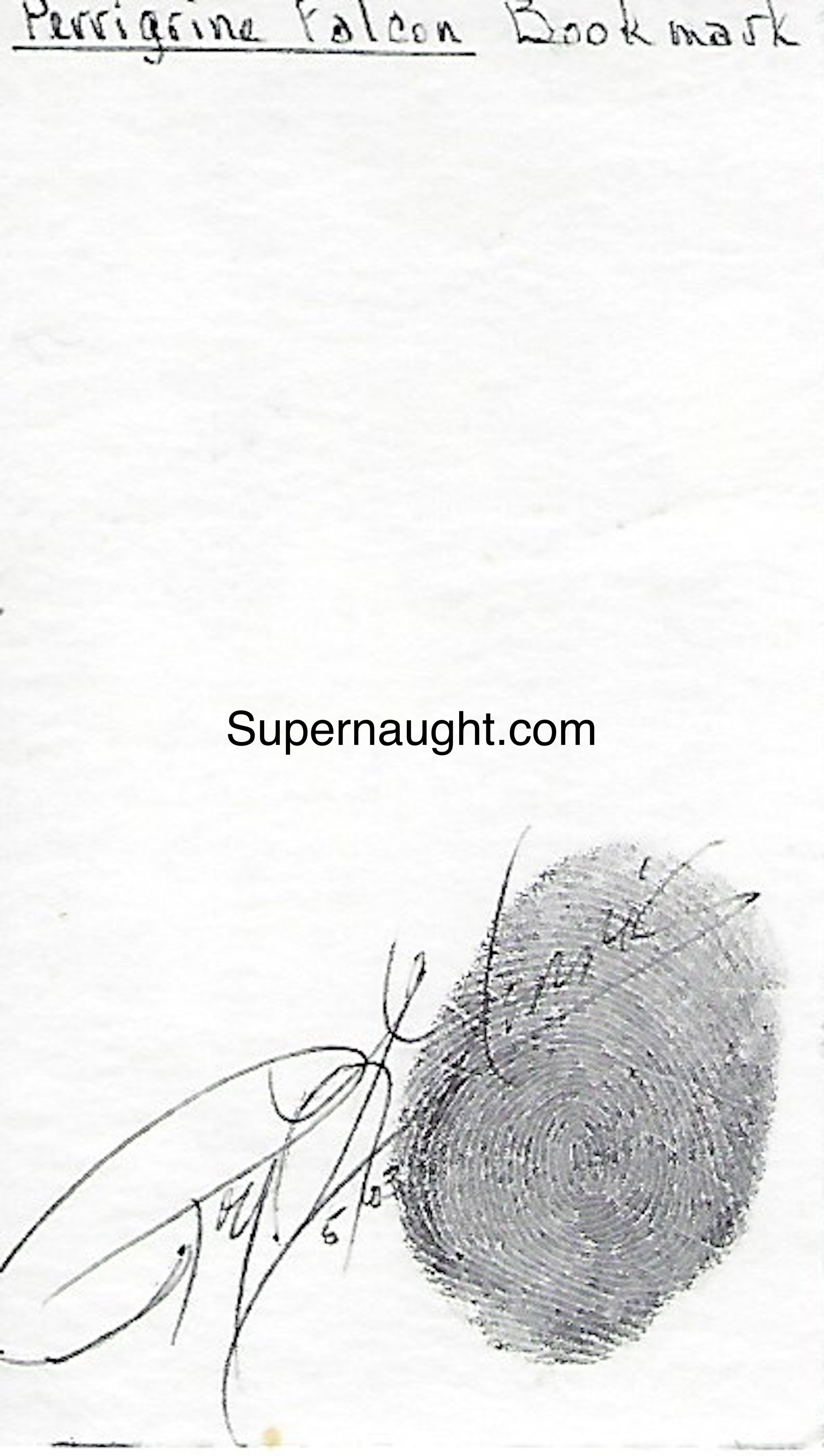 Roy Norris Peregrine Falcon Art Signed With Thumbprint image 2