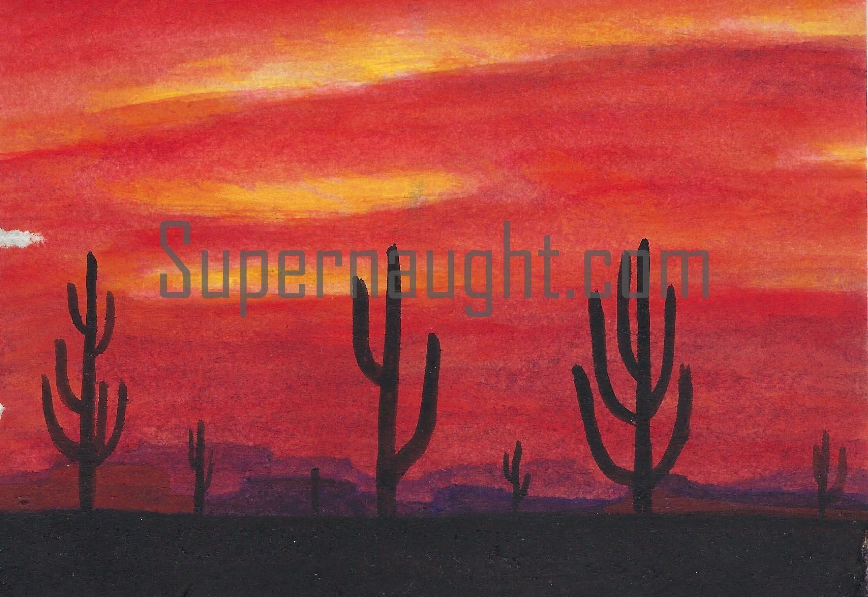 Roy Norris Signed Desert Painting Postcard