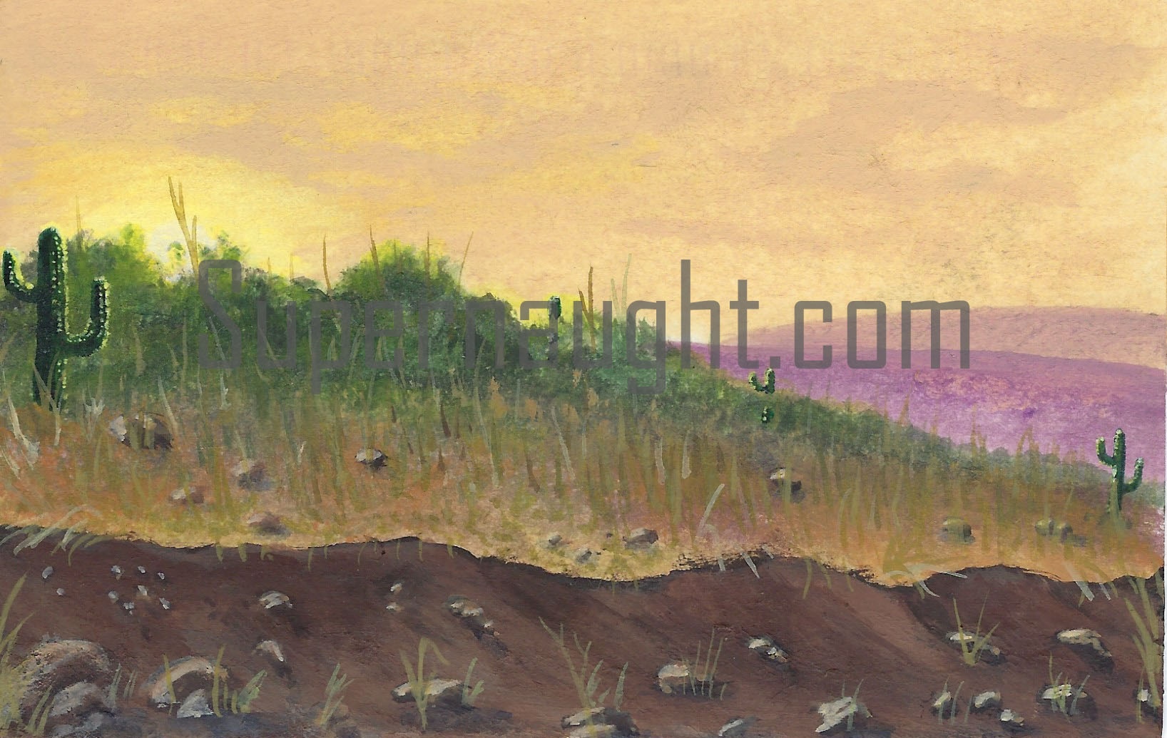 Roy Norris Signed Painting Postcard