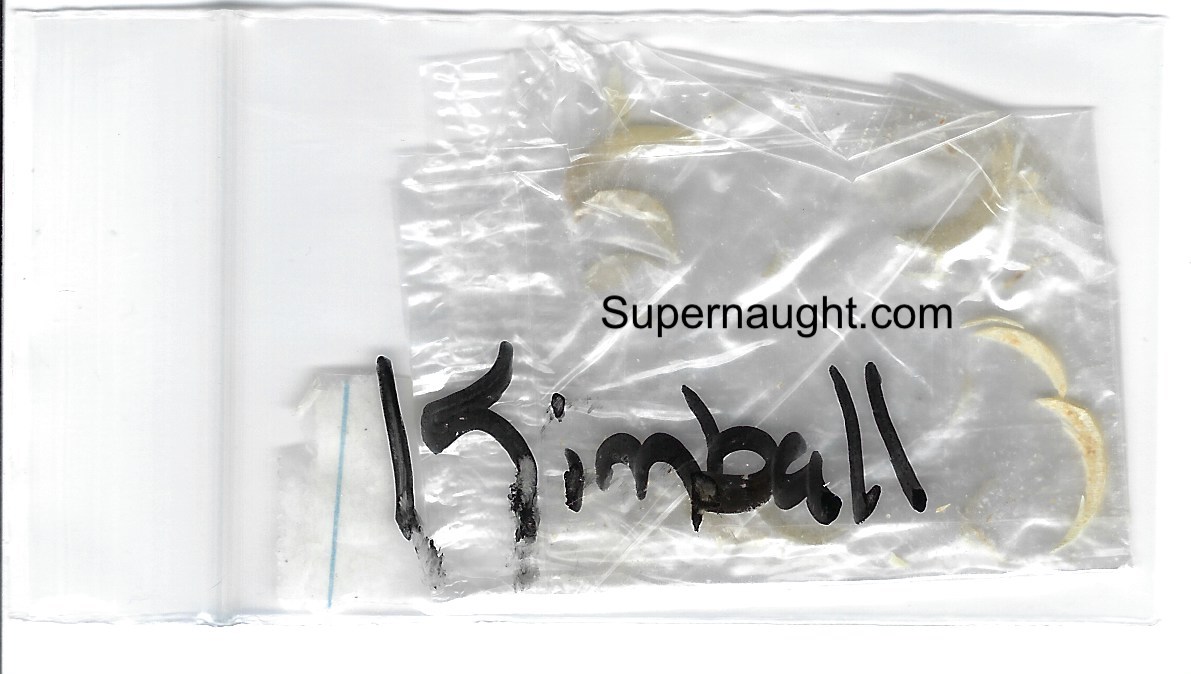 Scott Kimball Nail Clippings