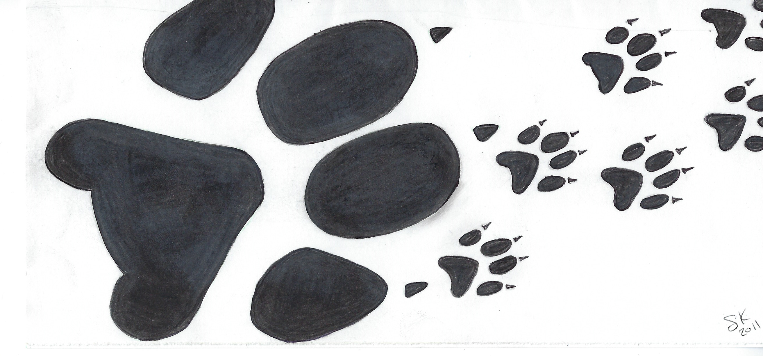 Scott Kimball Paw Prints Drawing Signed Twice