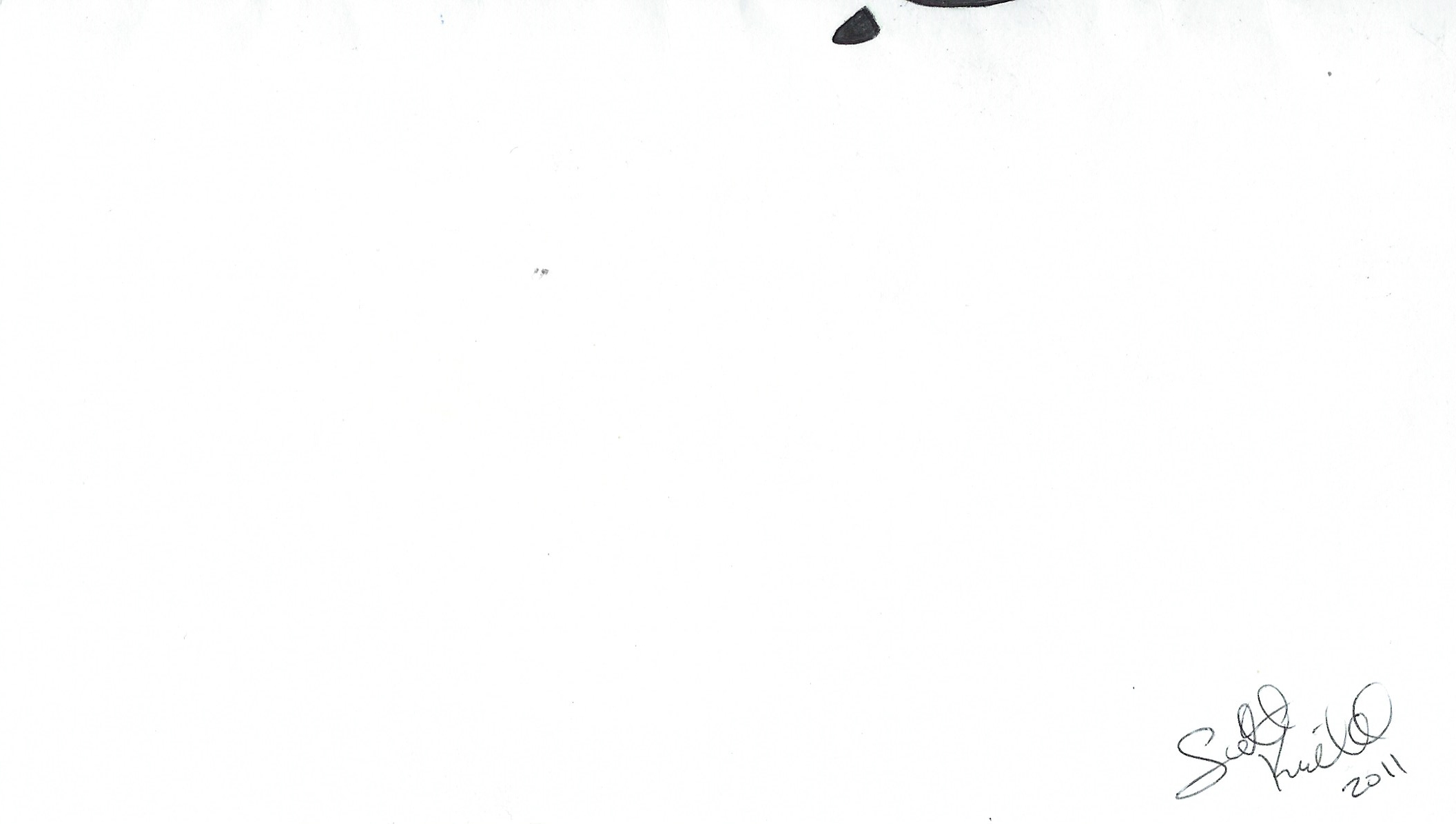 Scott Kimball Paw Prints Drawing Signed Twice image 2