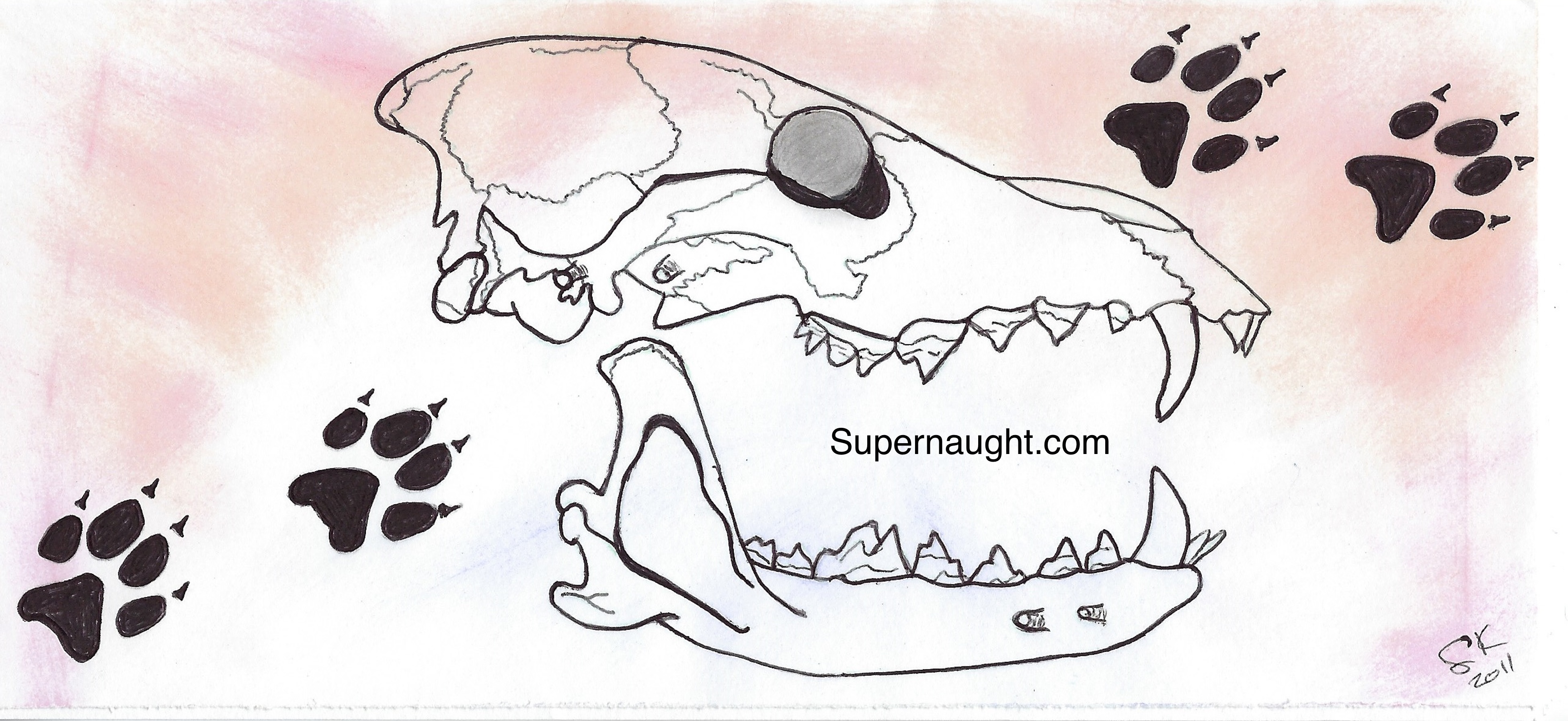 Scott Kimball Signed Animal Skull Artwork