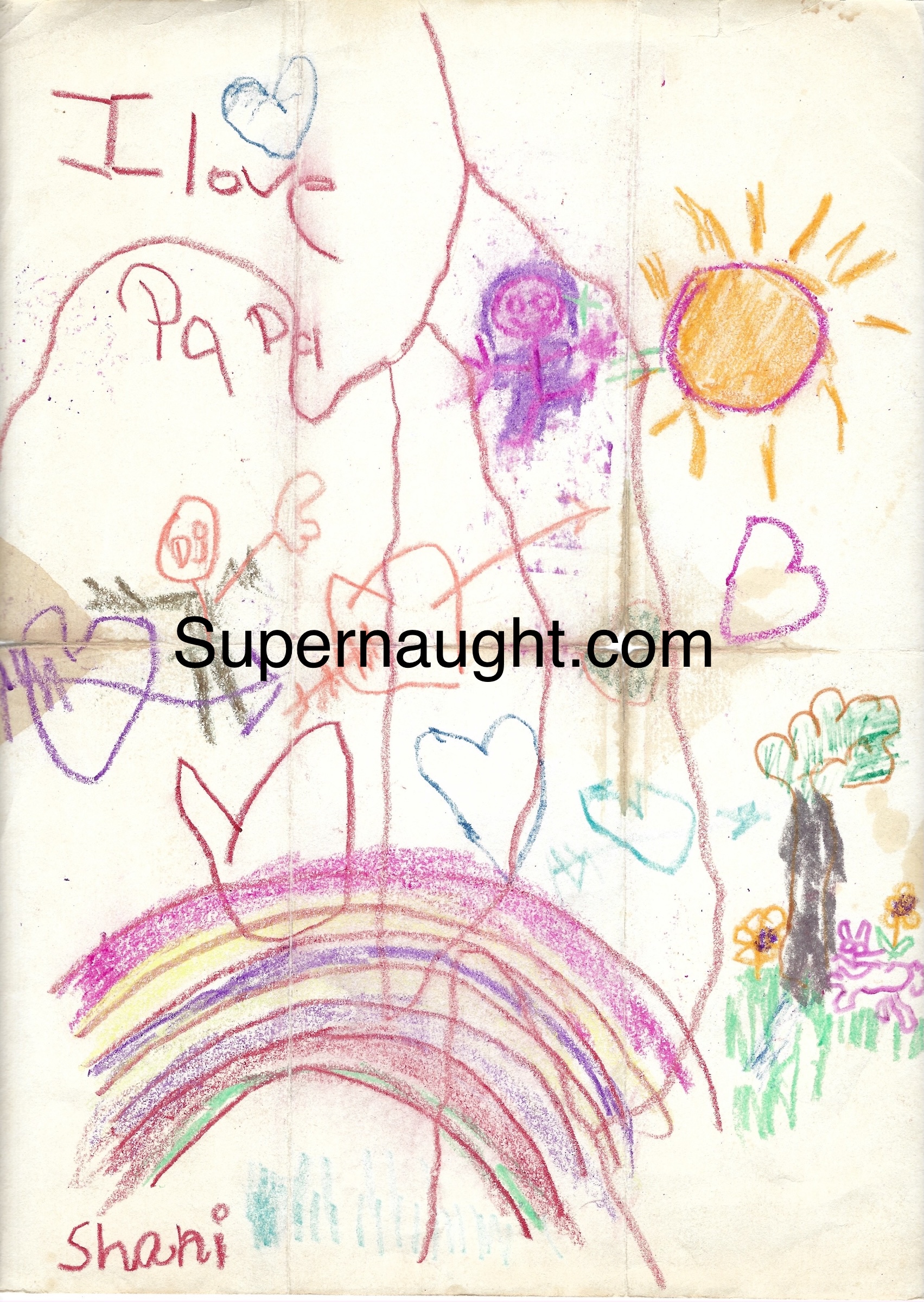Shani Walleman Artwork Signed