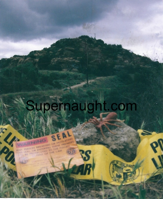 Spahn Ranch Photo with Spider Made by Manson Signed Michael Channels