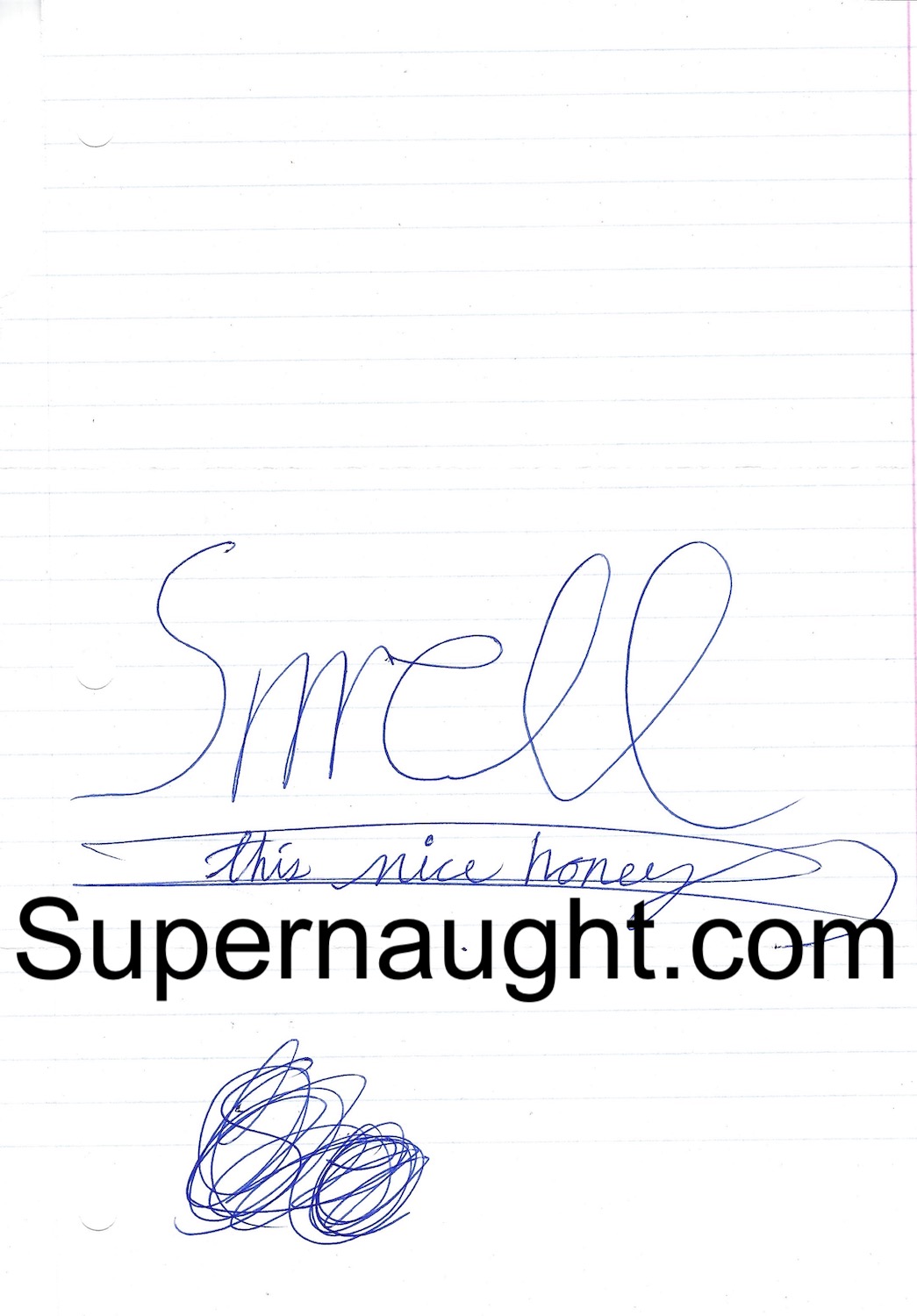 Steven Avery 4 Page Letter And Envelope Both Signed image 5